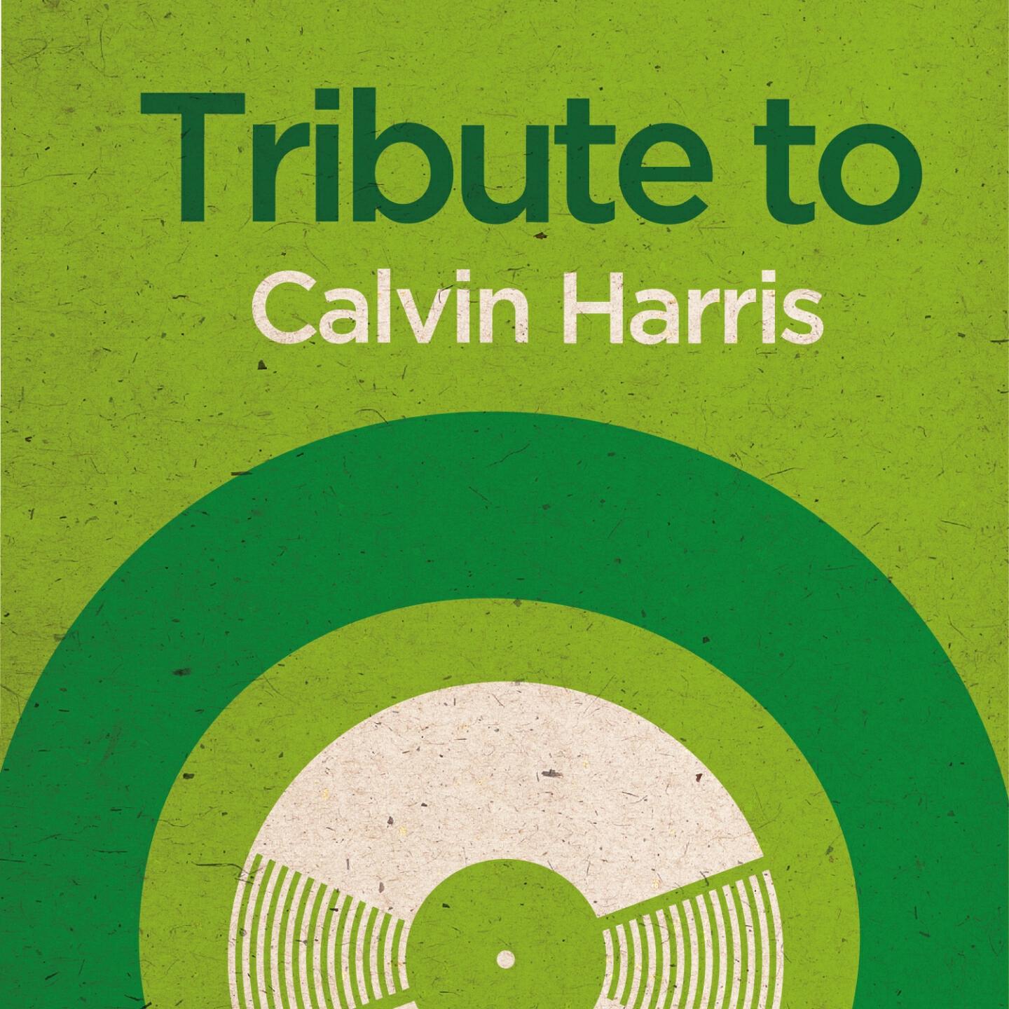Релиз Tribute to Calvin Harris