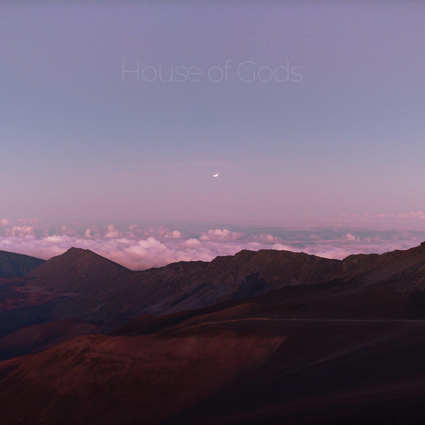 Релиз House of Gods EP