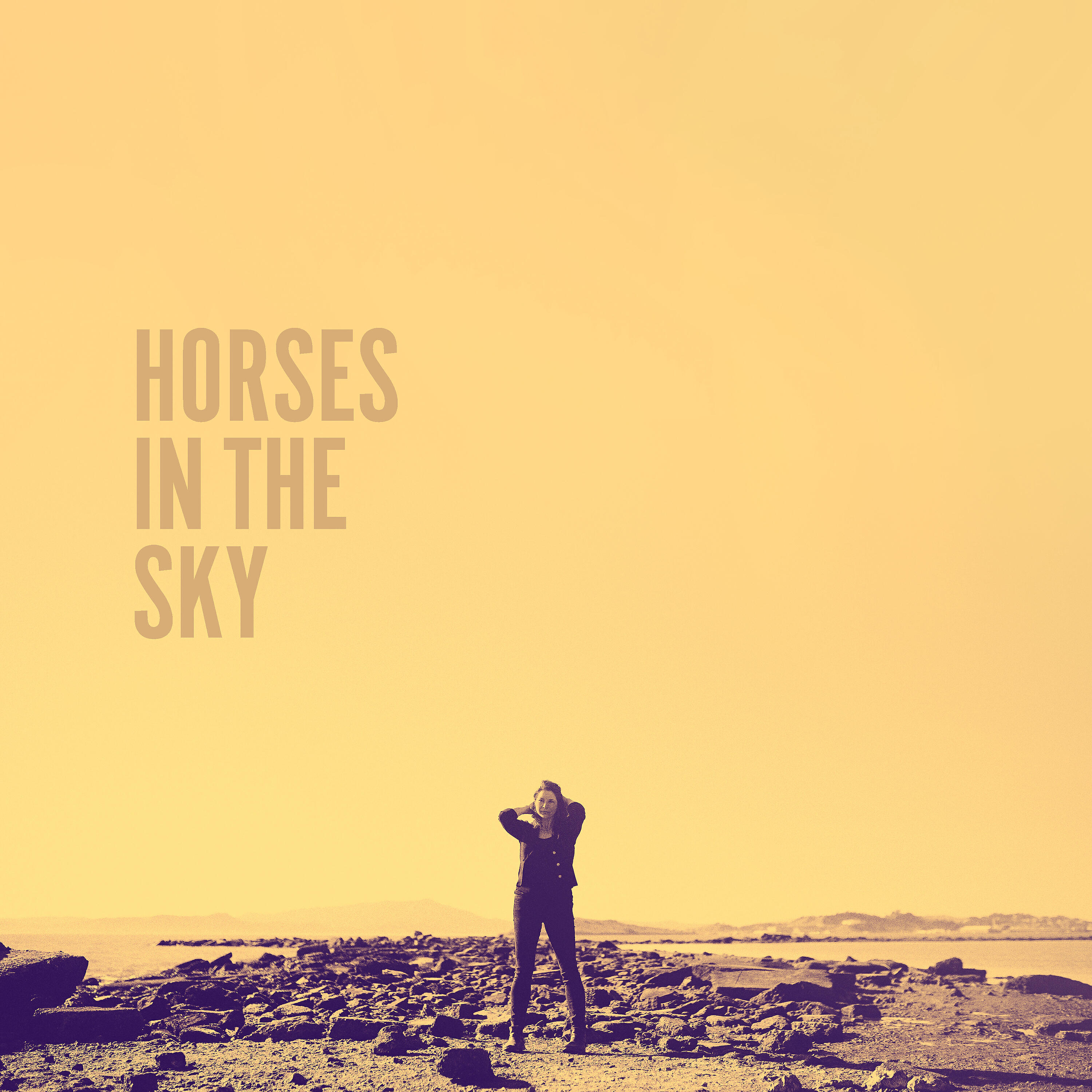 Релиз Horses in the Sky