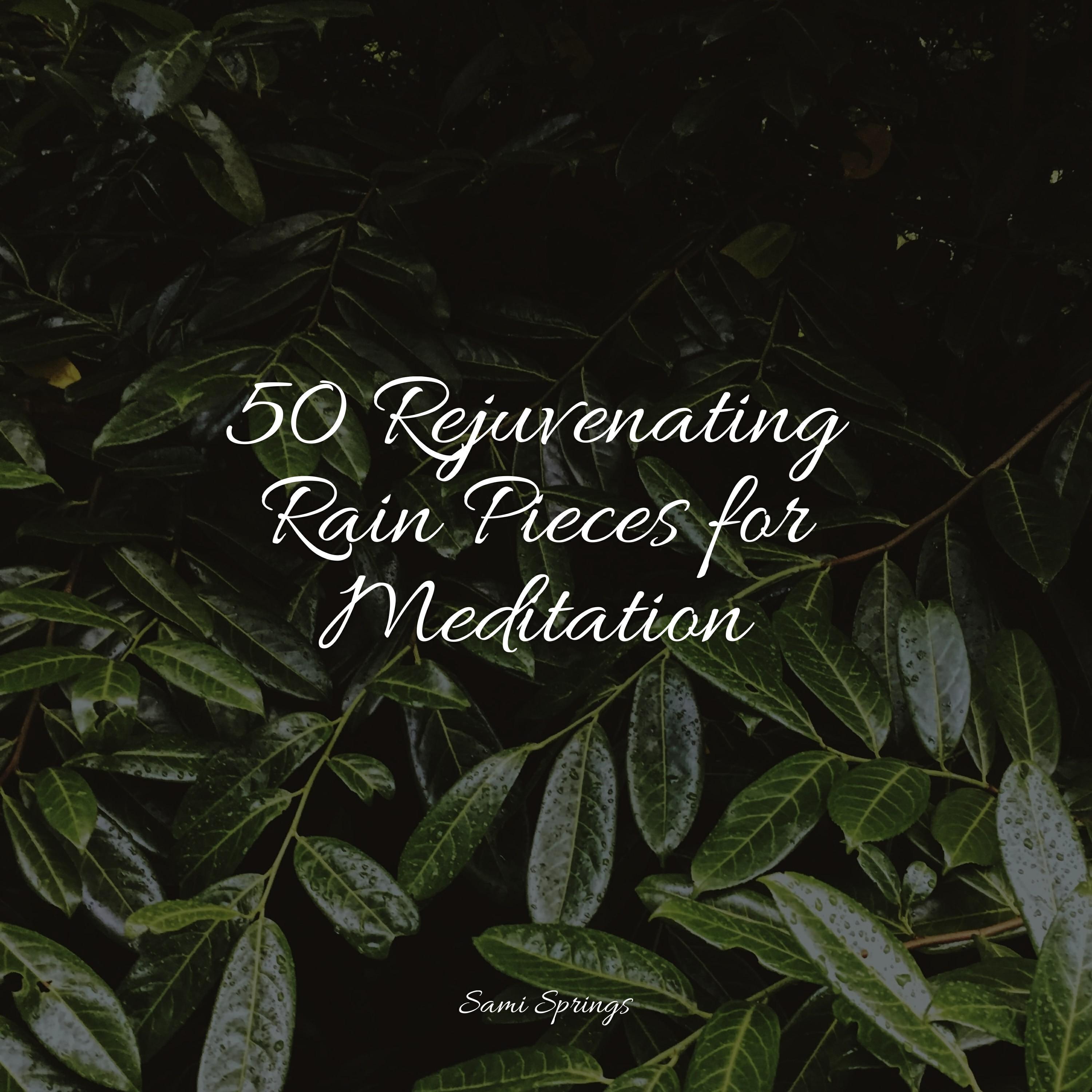 Релиз 50 Rejuvenating Rain Pieces for Meditation