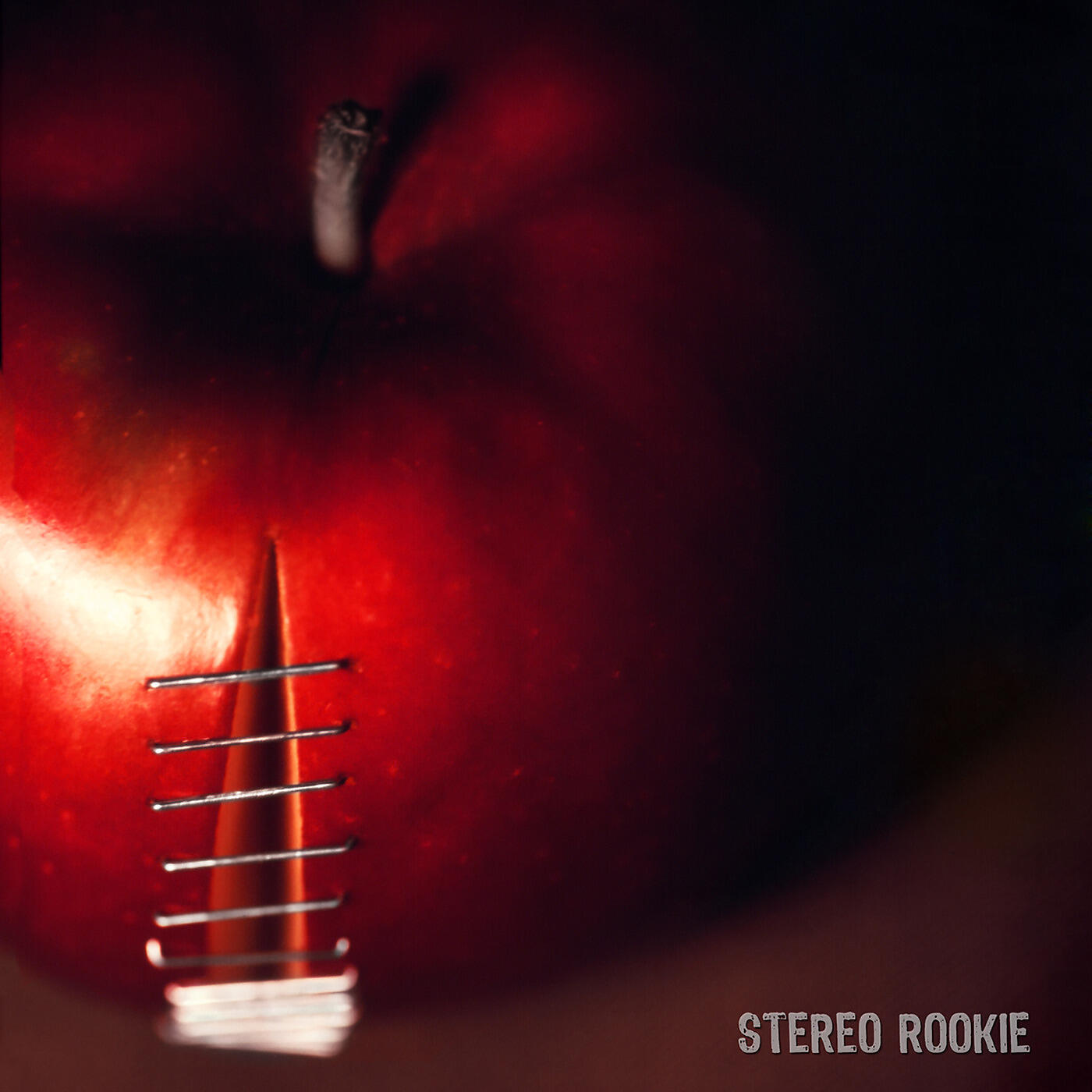 Релиз Stereo Rookie