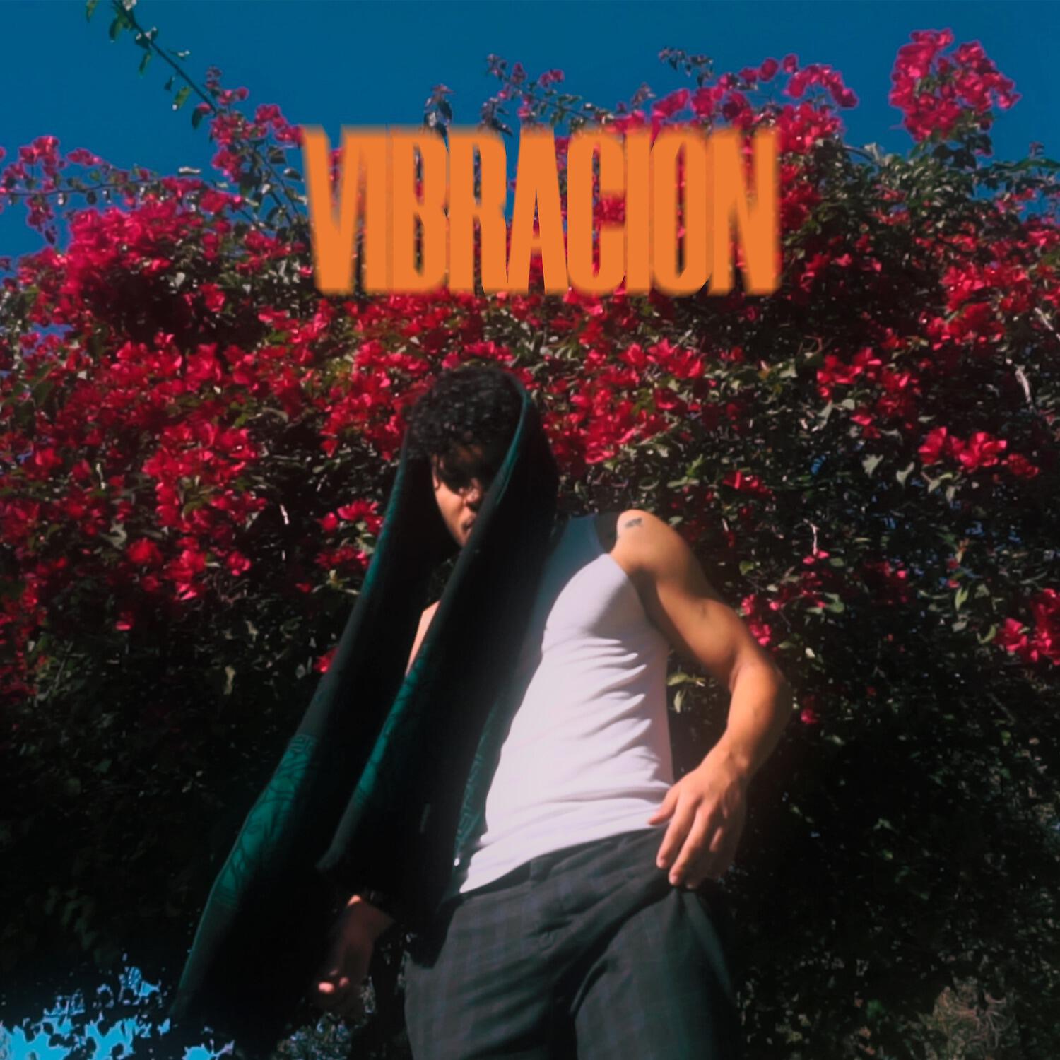Релиз Vibración