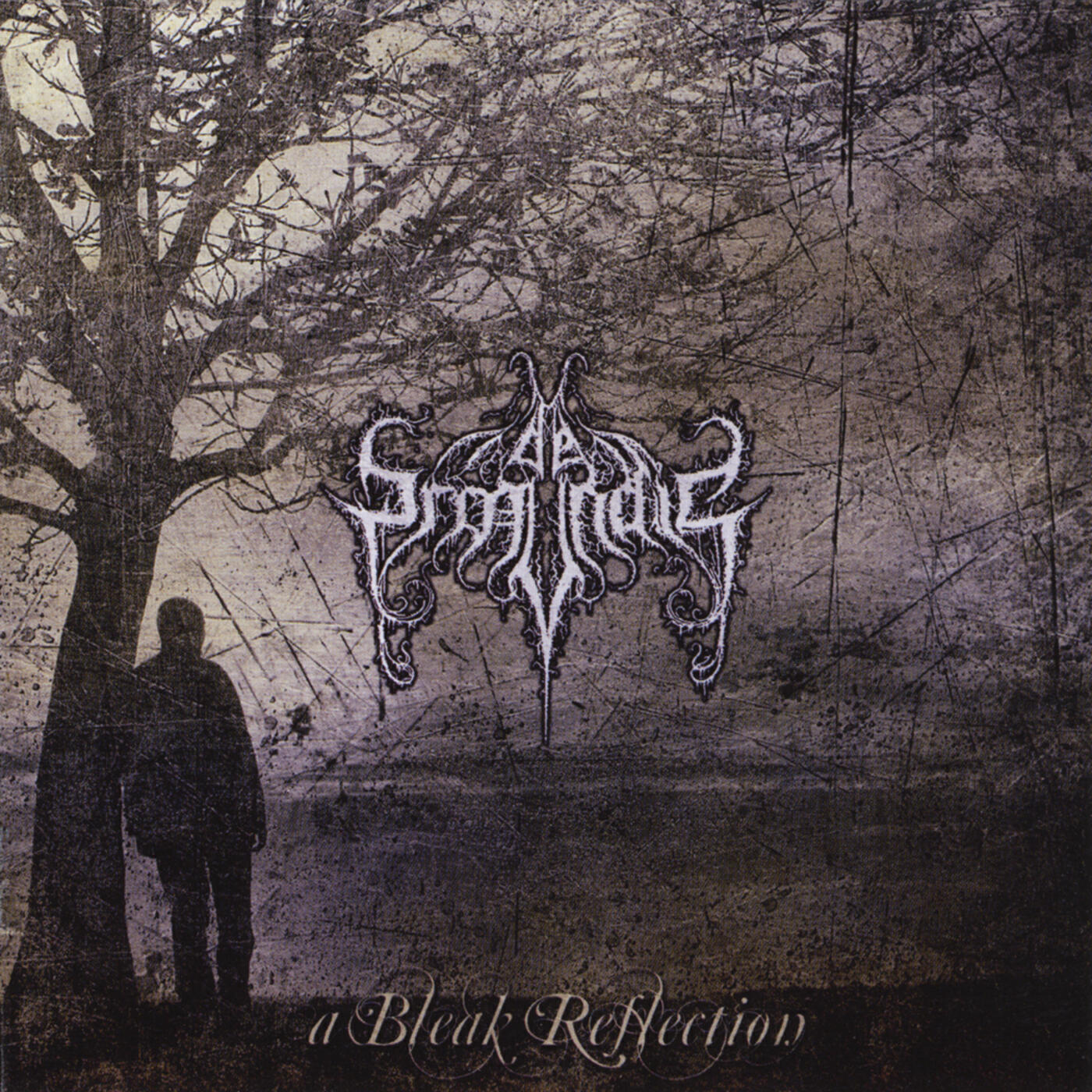 Релиз A Bleak Reflection