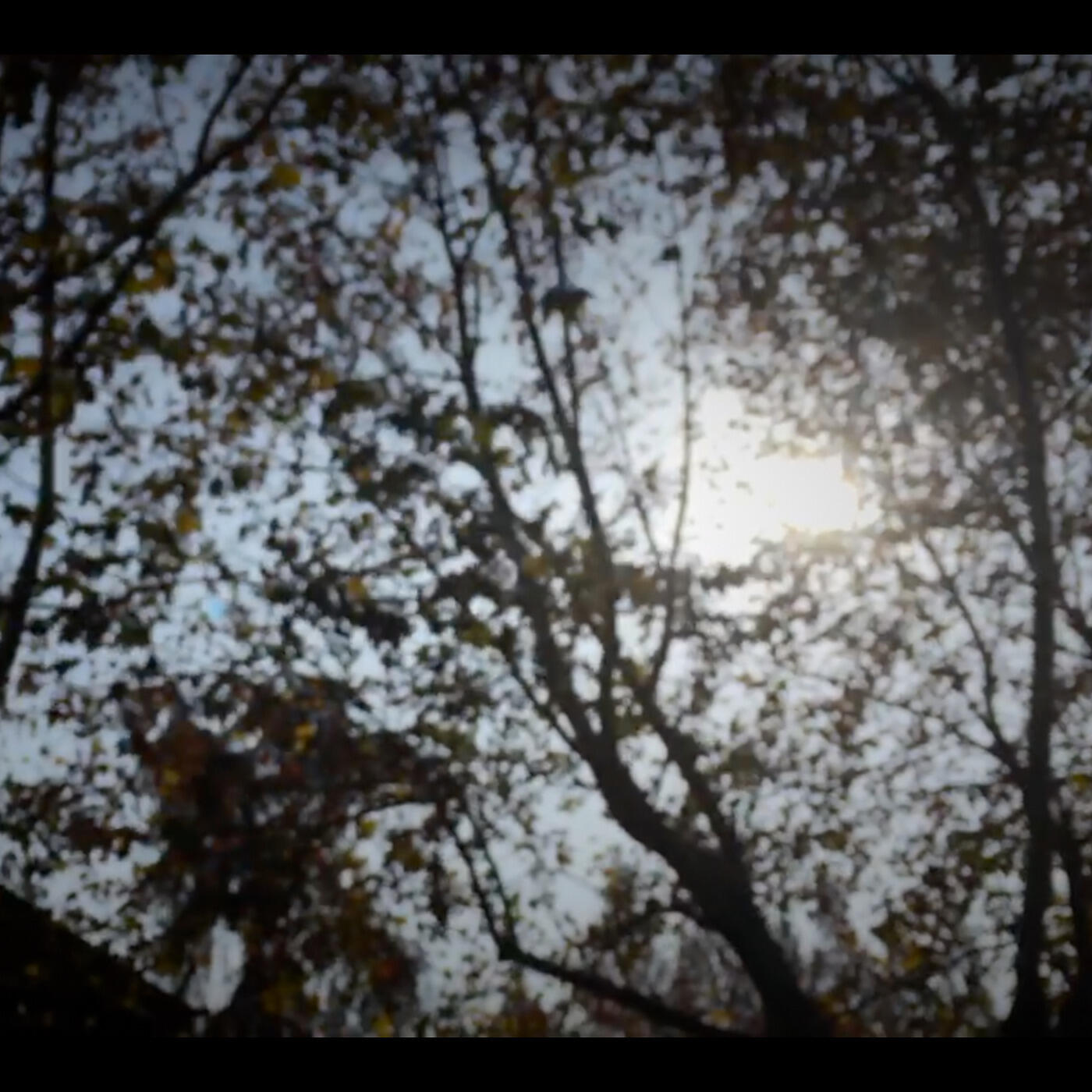 Релиз From Shanghai (To Wherever I Will Go)