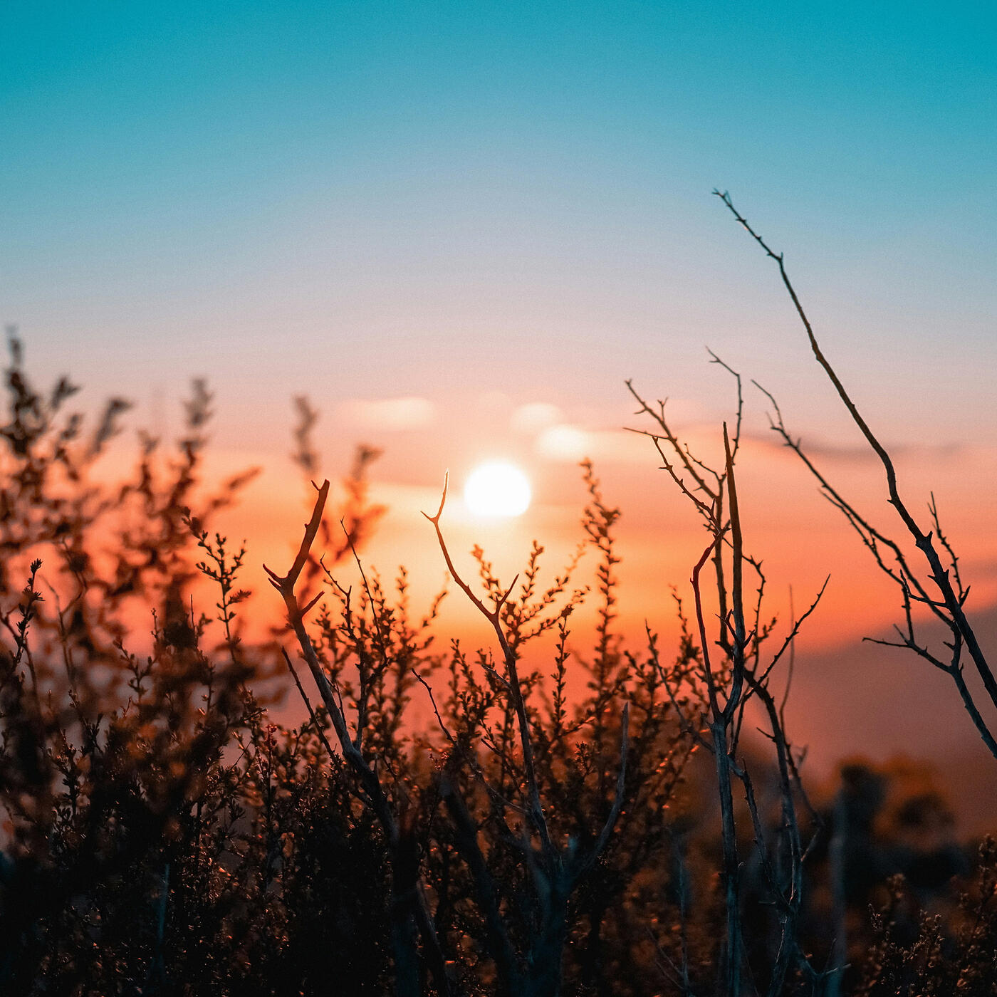 Релиз Sunrise
