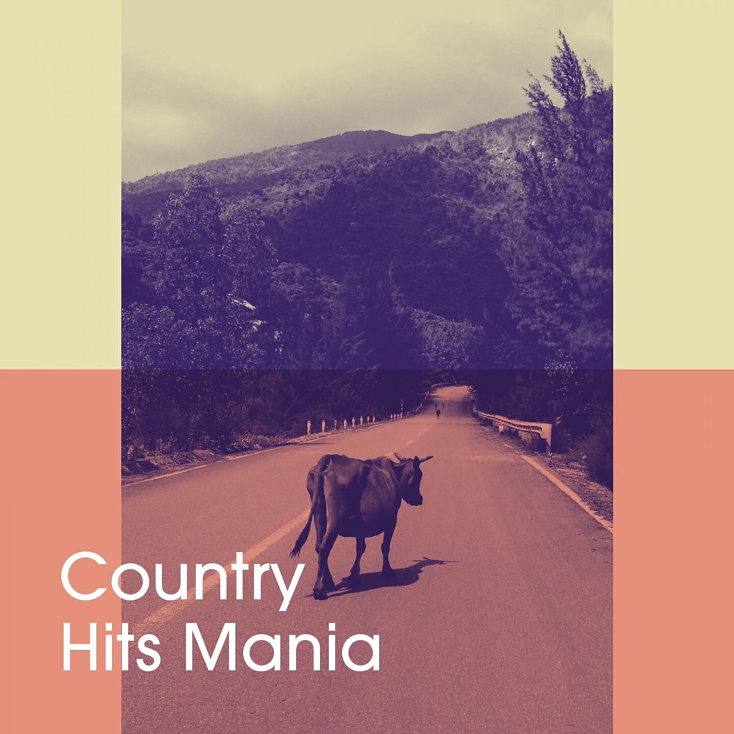 Релиз Country Hits Mania