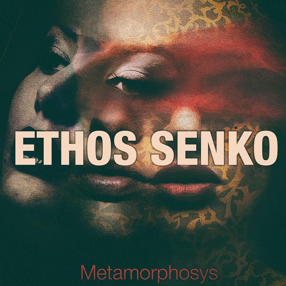 Релиз Metamorphosys