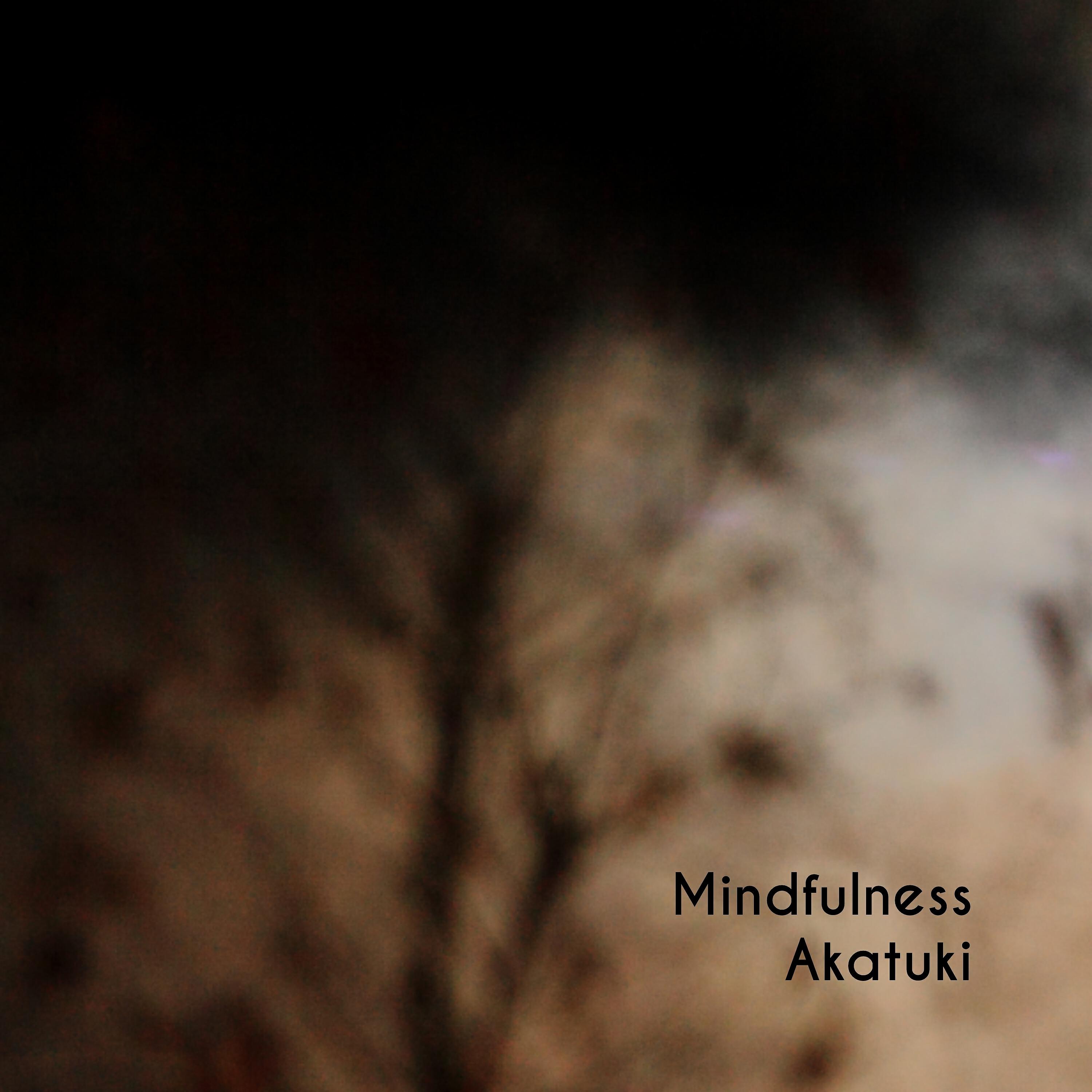 Релиз Mindfulness
