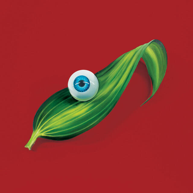 Релиз Burning Beaches (Budgie Remix)