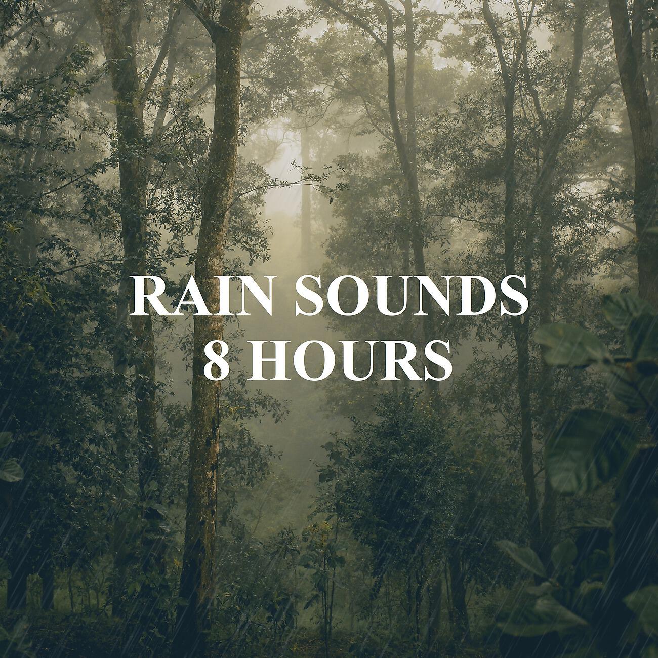 Релиз Rain Sounds 8 Hours