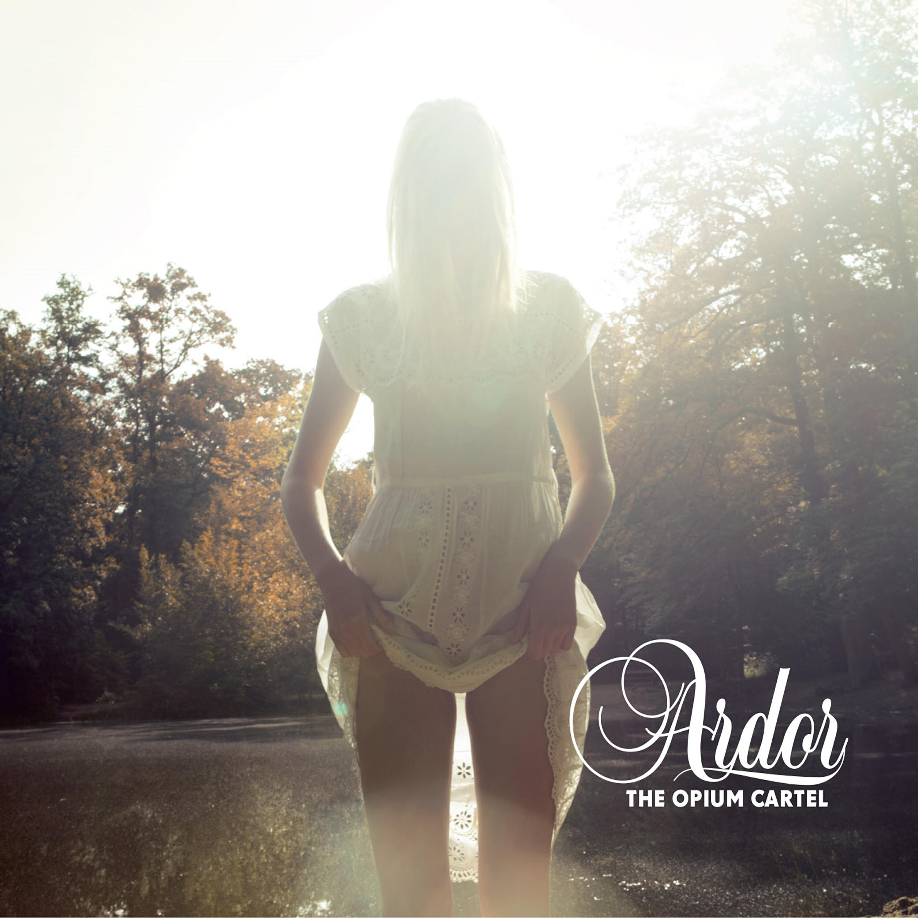 Релиз Ardor