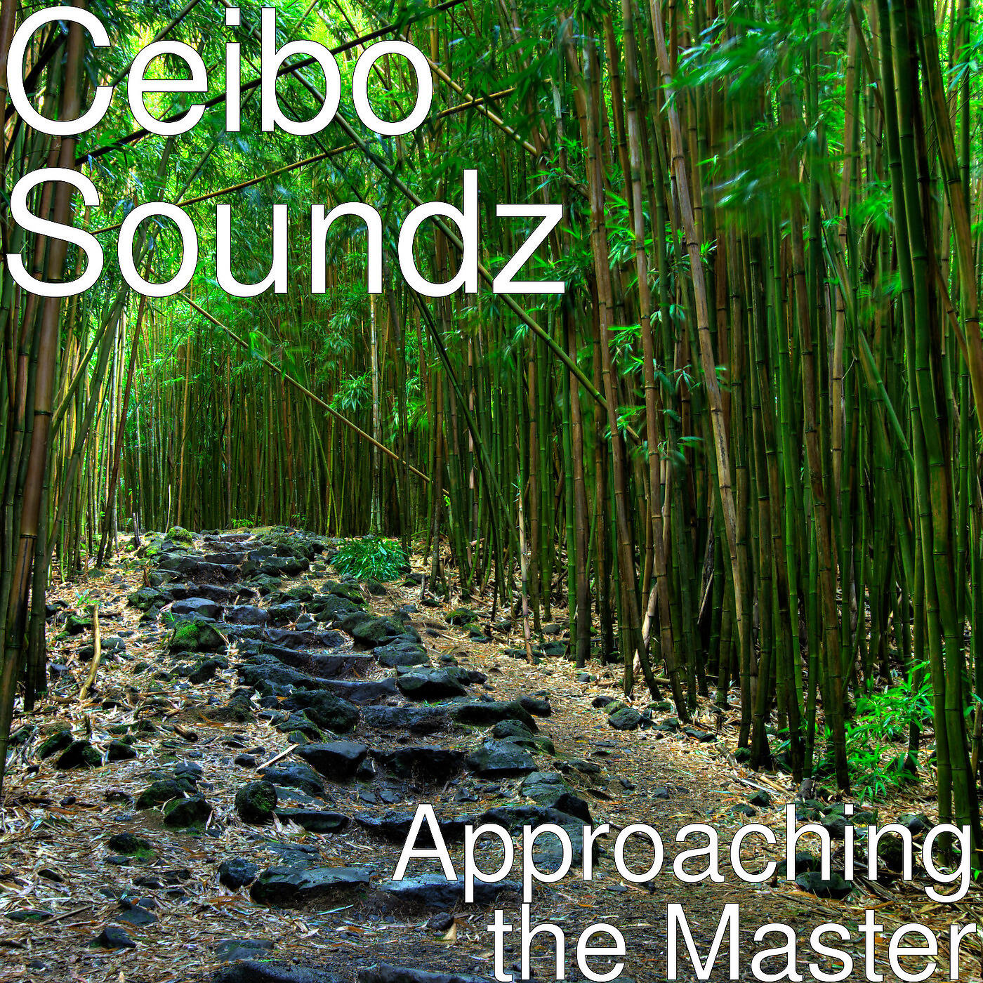 Релиз Approaching the Master