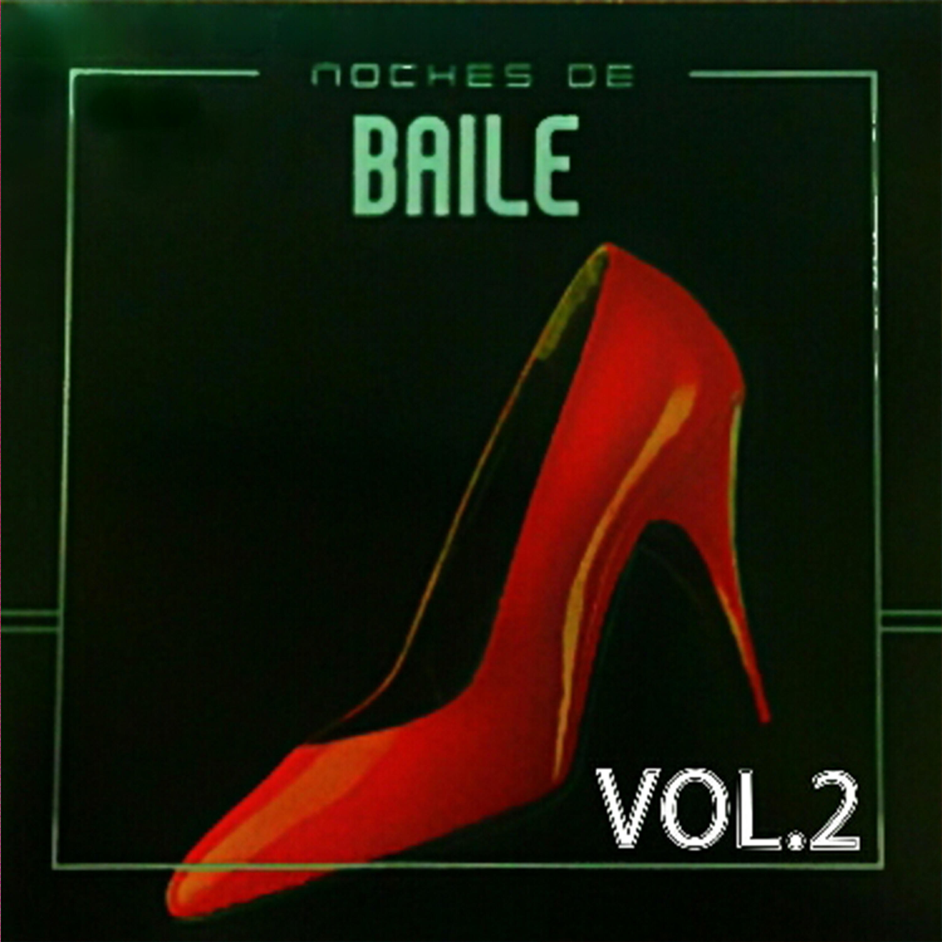 Релиз Noches de Baile Vol 2