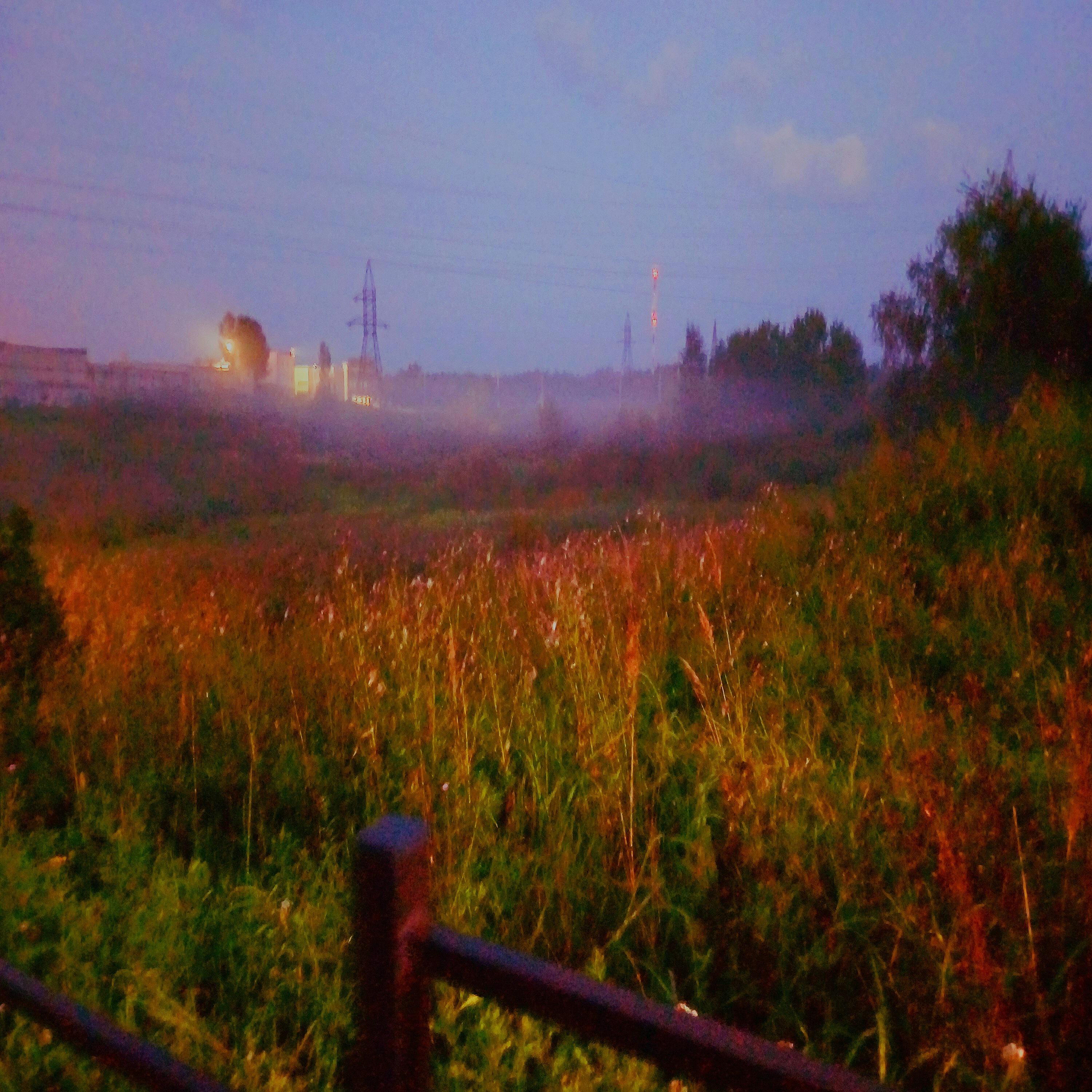 Корень