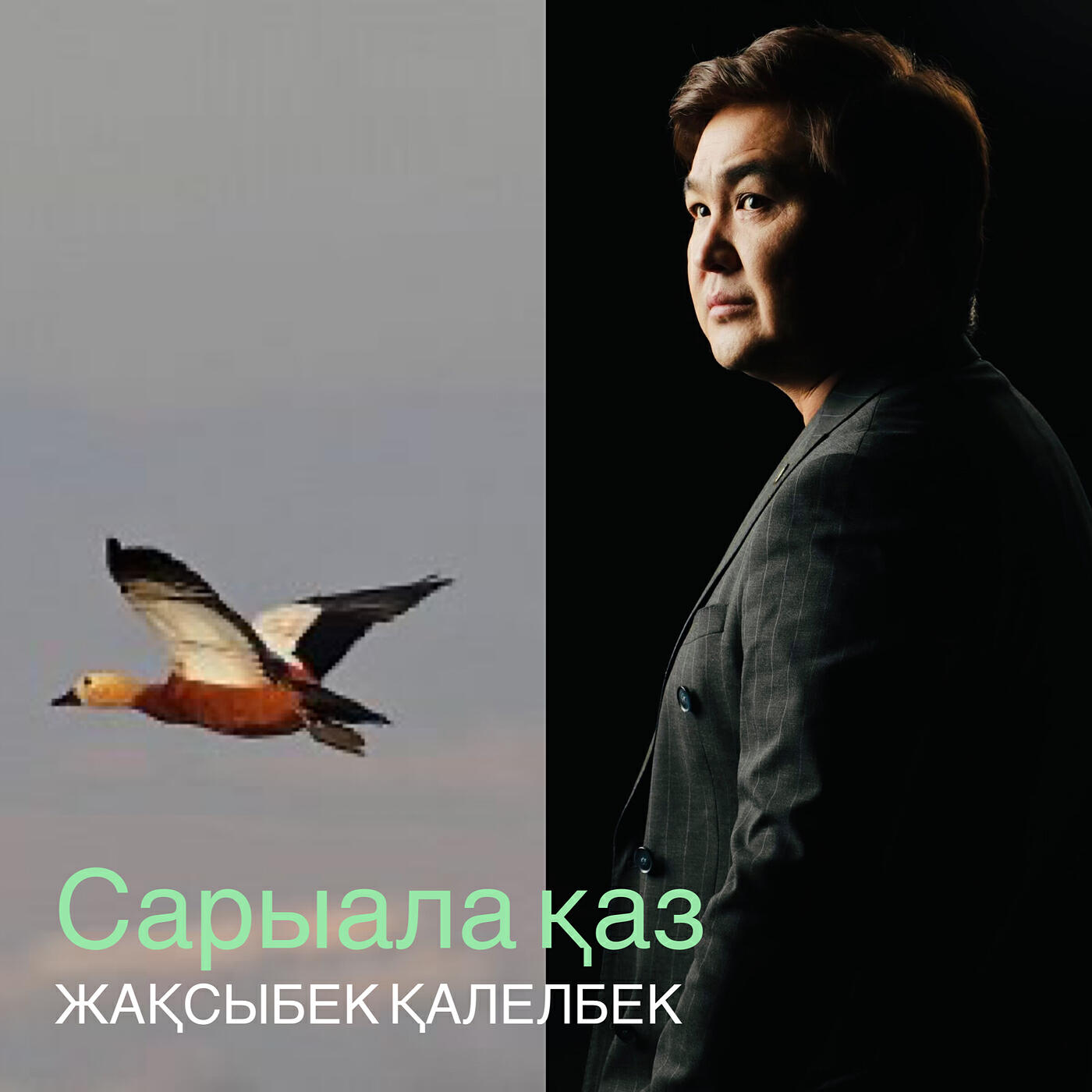 Релиз Сарыала қаз