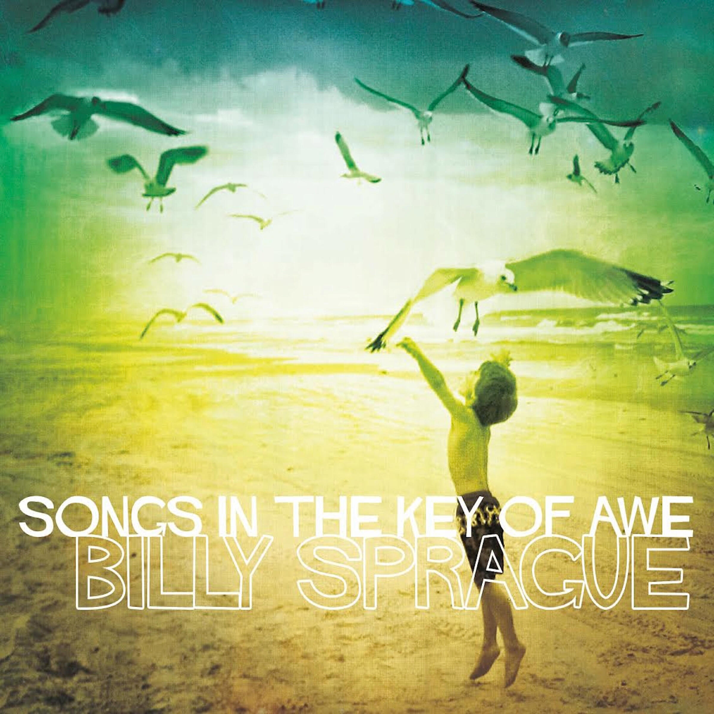 Релиз Songs in the Key of Awe