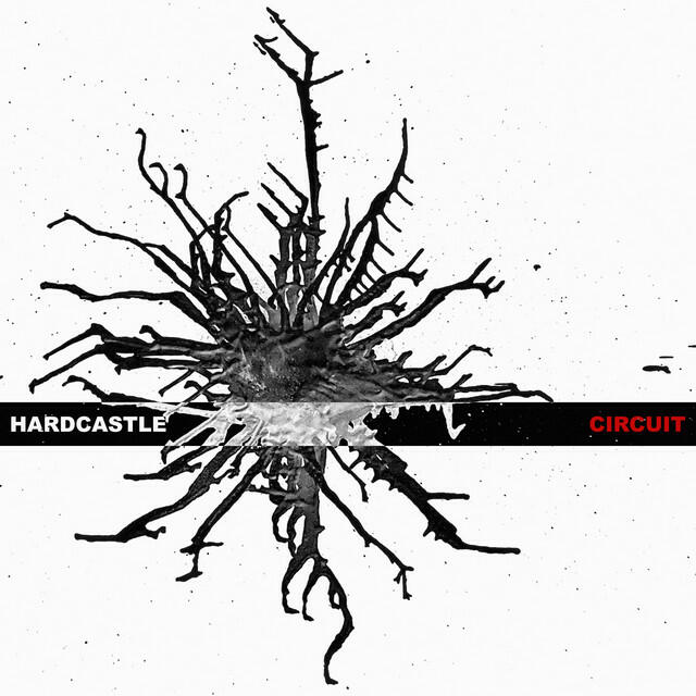 Релиз Circuit