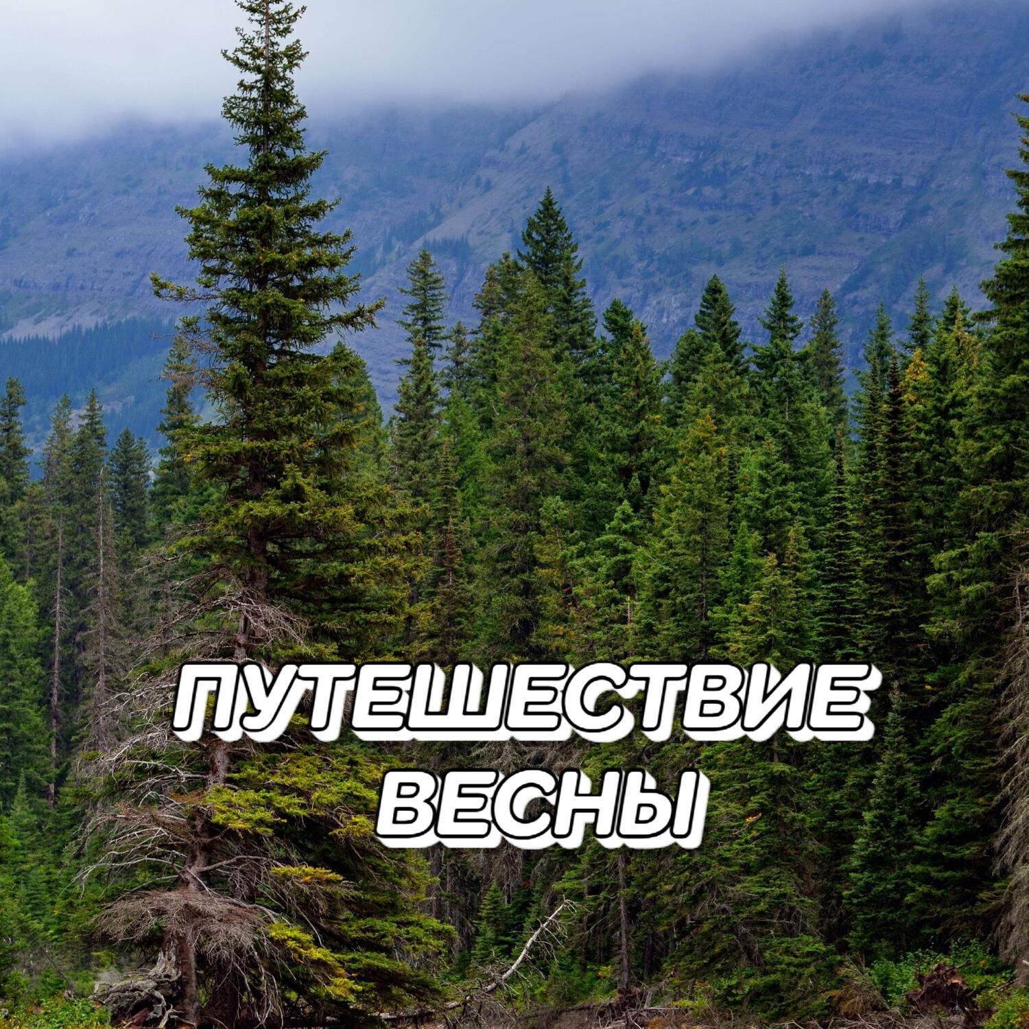 Релиз ПУТЕШЕСТВИЕ ВЕСНЫ