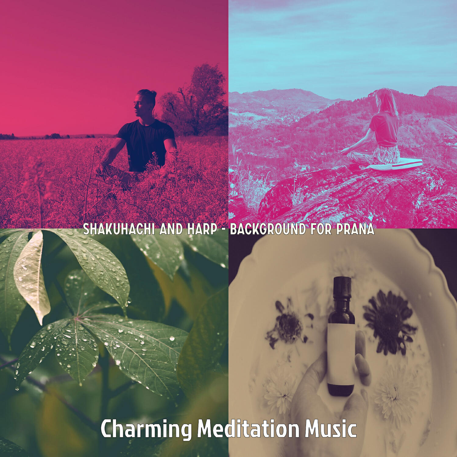 Релиз Shakuhachi and Harp - Background for Prana