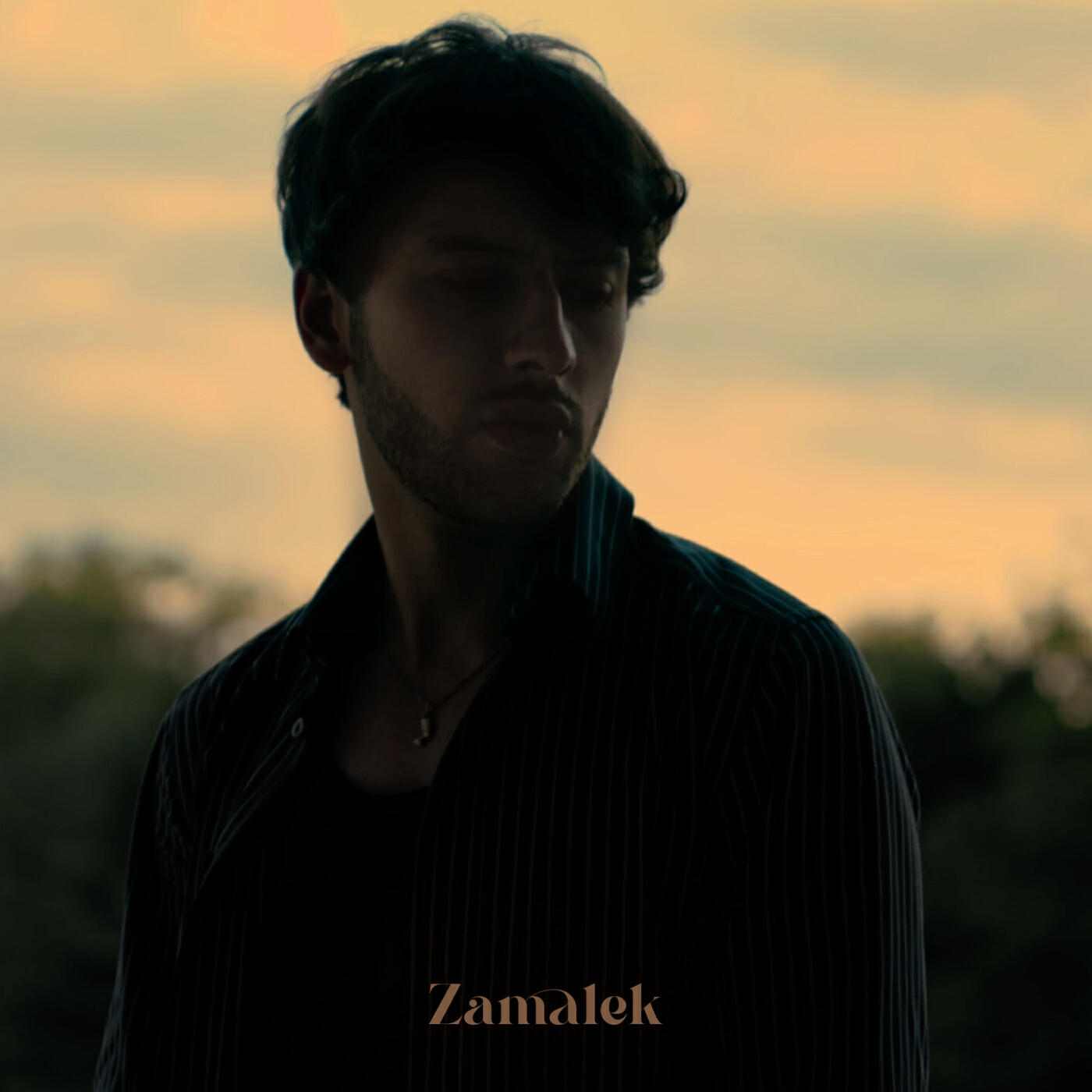 Релиз Zamalek