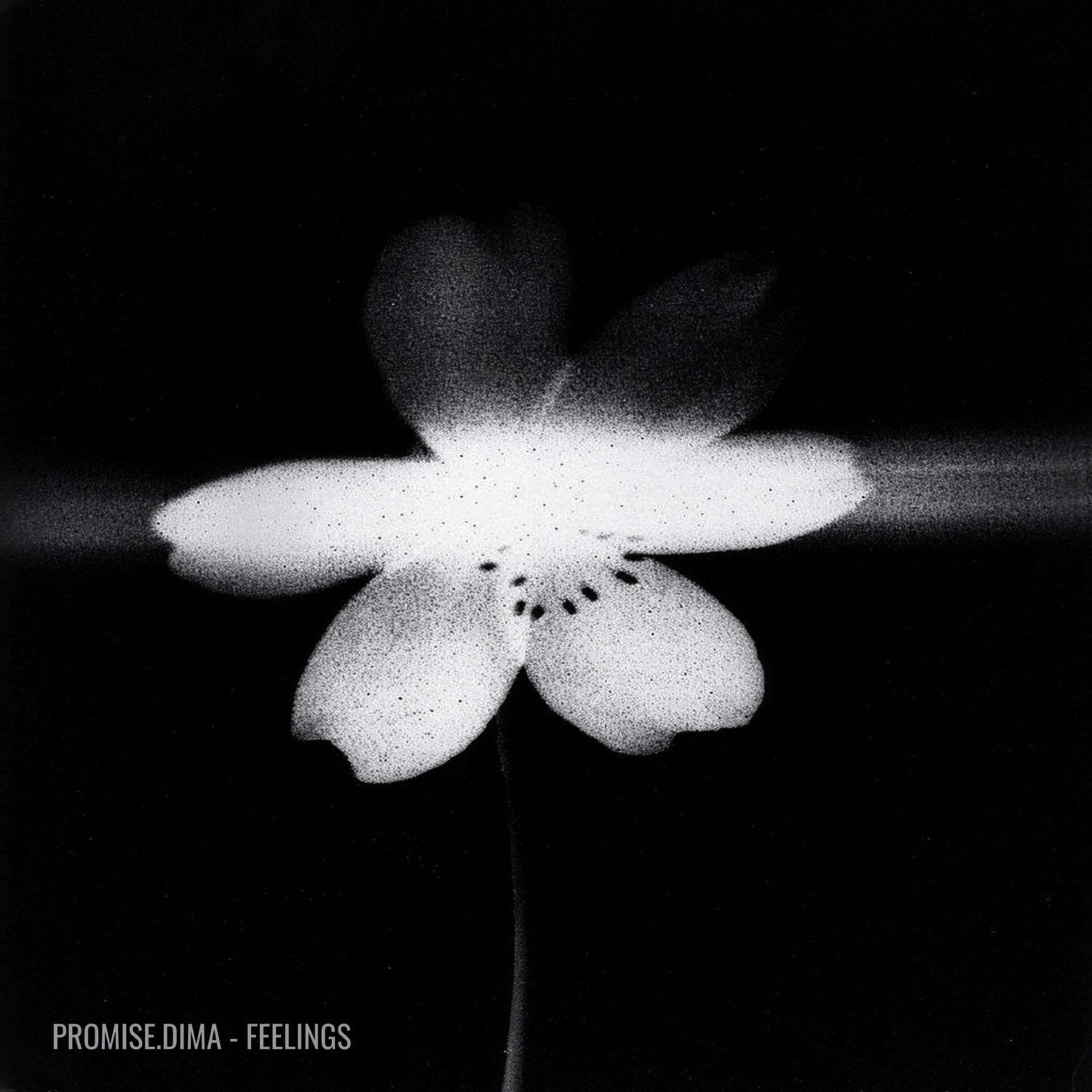 Promise.Dima