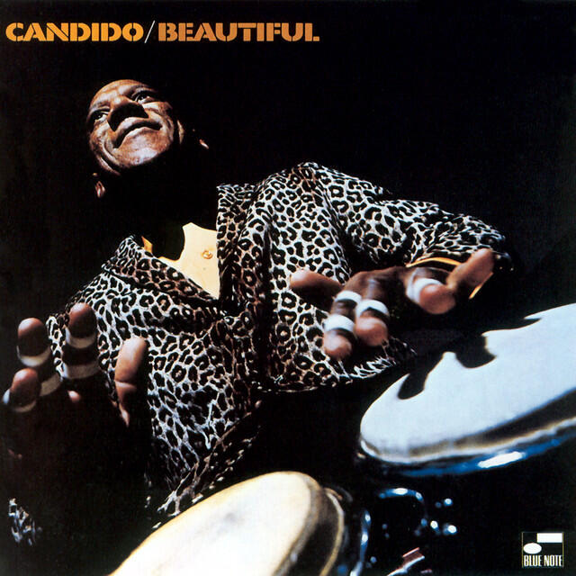 Релиз Beautiful