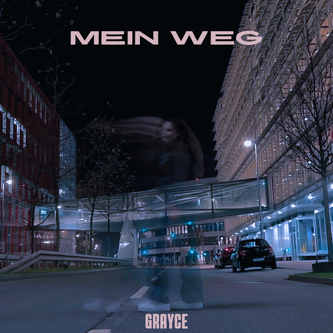 Релиз Mein Weg