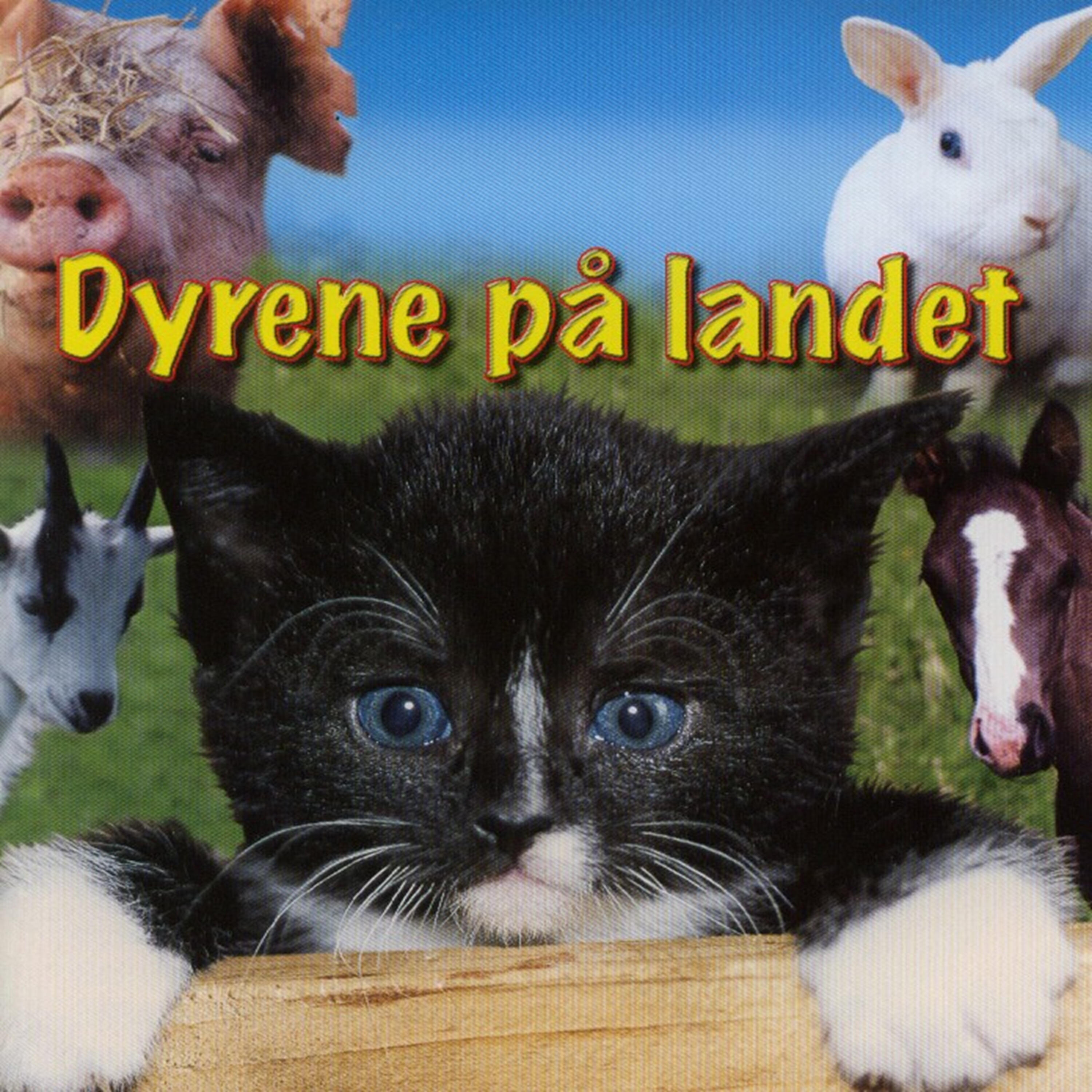 Релиз Dyrene På Landet