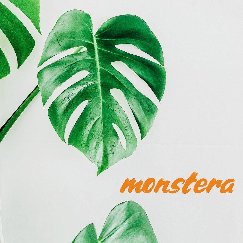 Релиз monstera