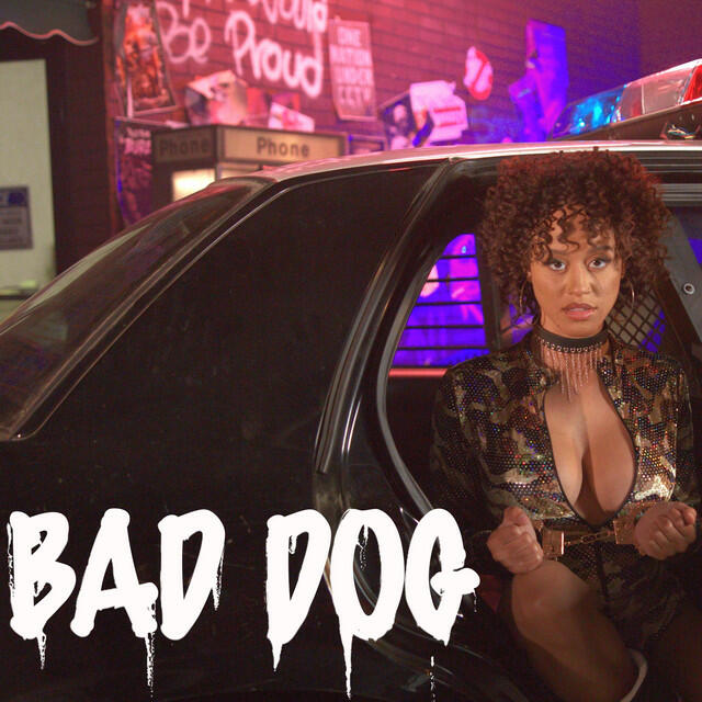 Релиз Bad Dog