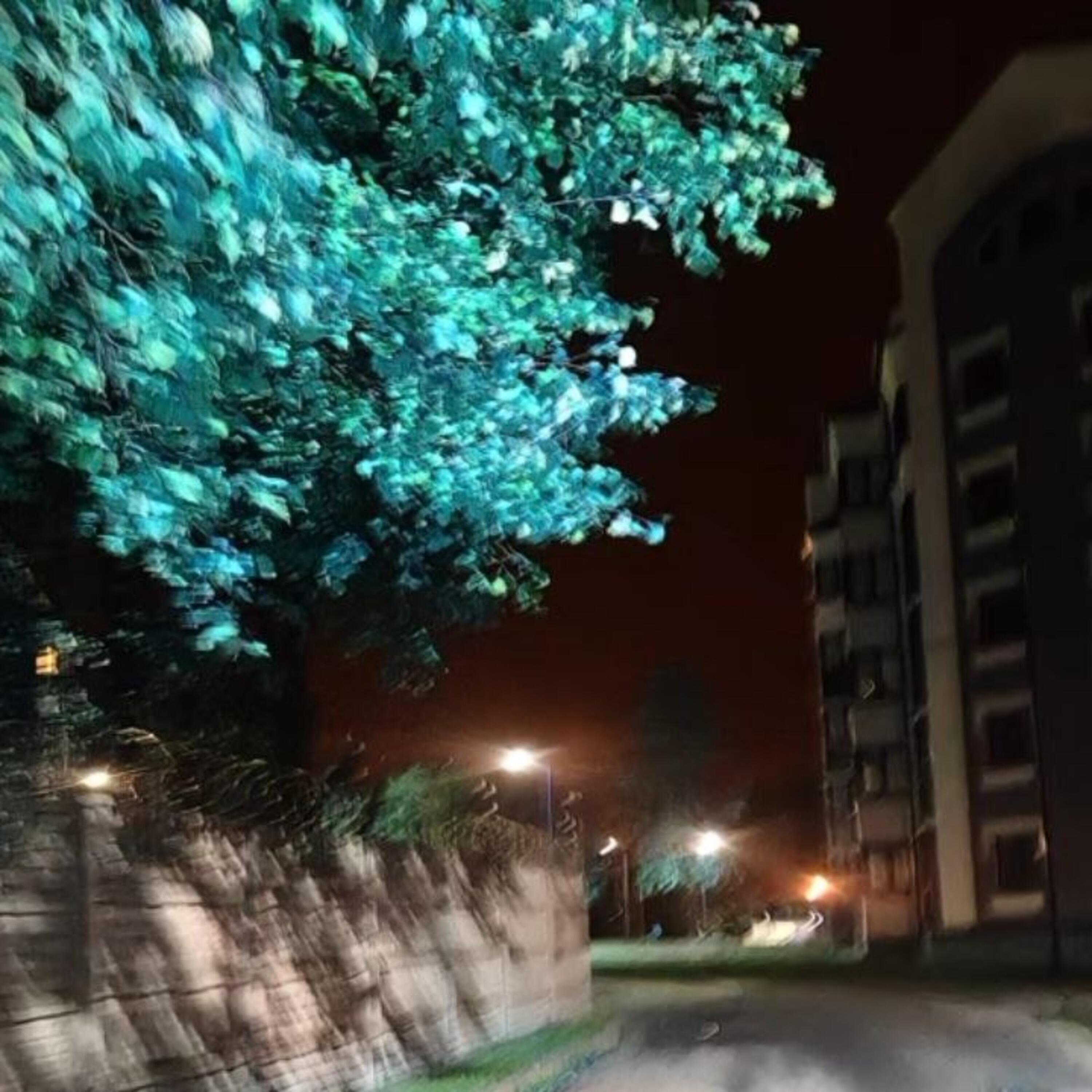 nyckrxs