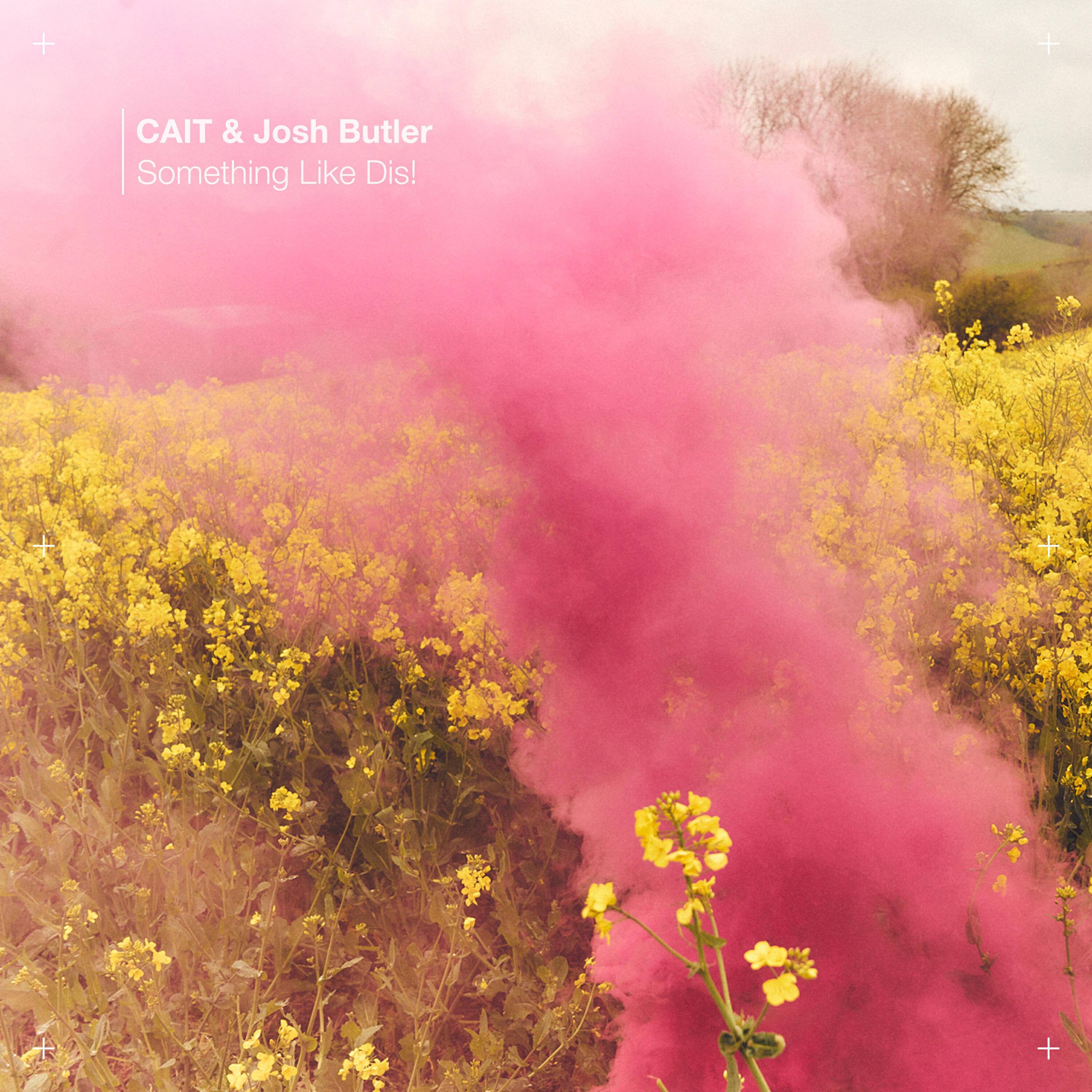 Релиз Something Like Dis!