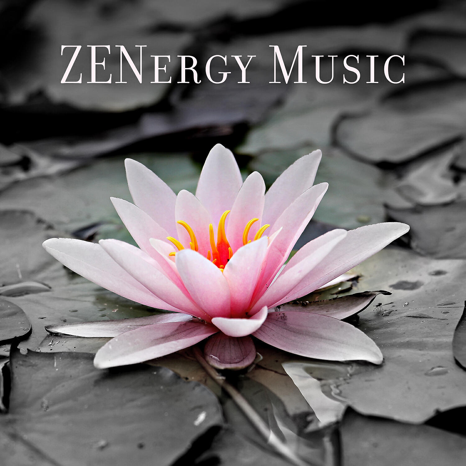Релиз ZENergy Music - Sleep Better, Reduce Stress, Spiritual Meditation, Relaxation Yoga, Soothing Instrumental