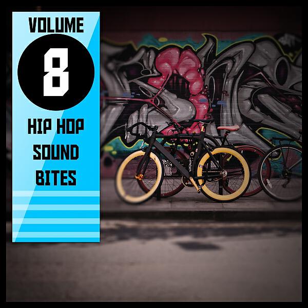 Релиз Hip Hop Sound Bites,Vol.8