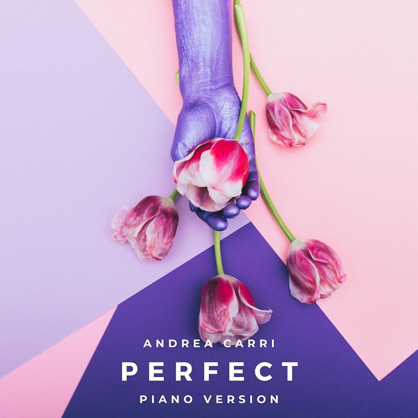 Релиз Perfect (Piano Version)
