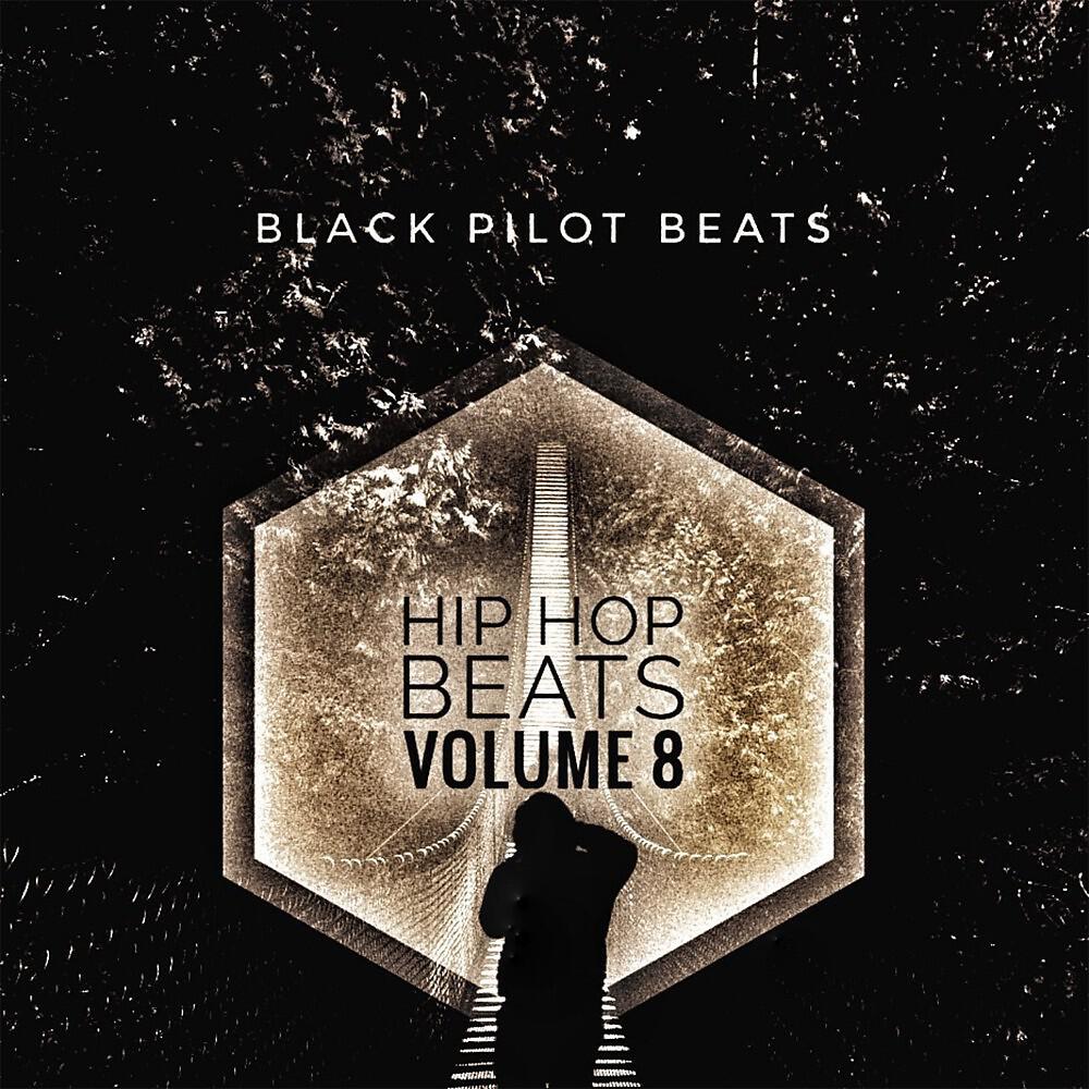 Релиз Hip Hop Beats, Vol. 8