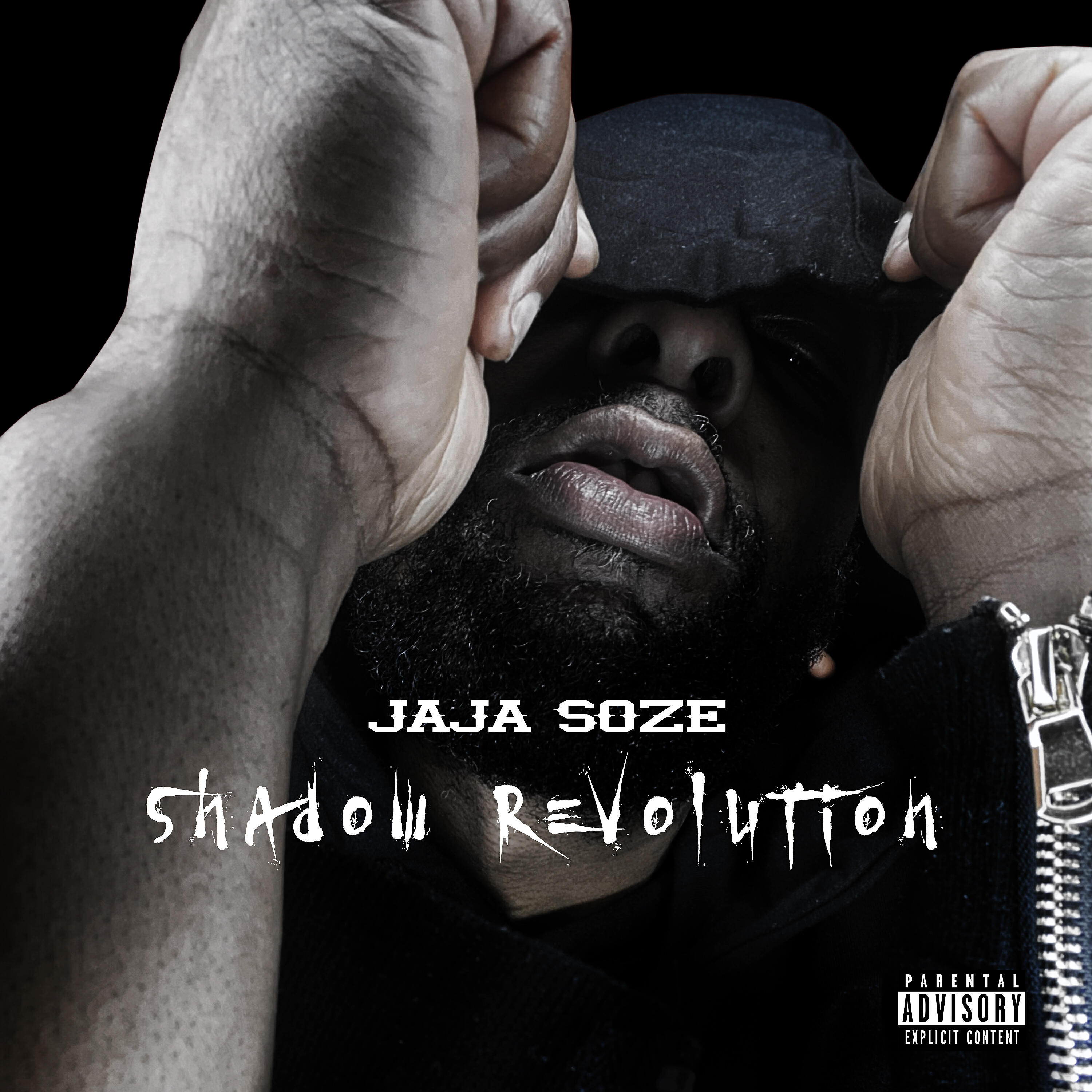Релиз Shadow Revolution