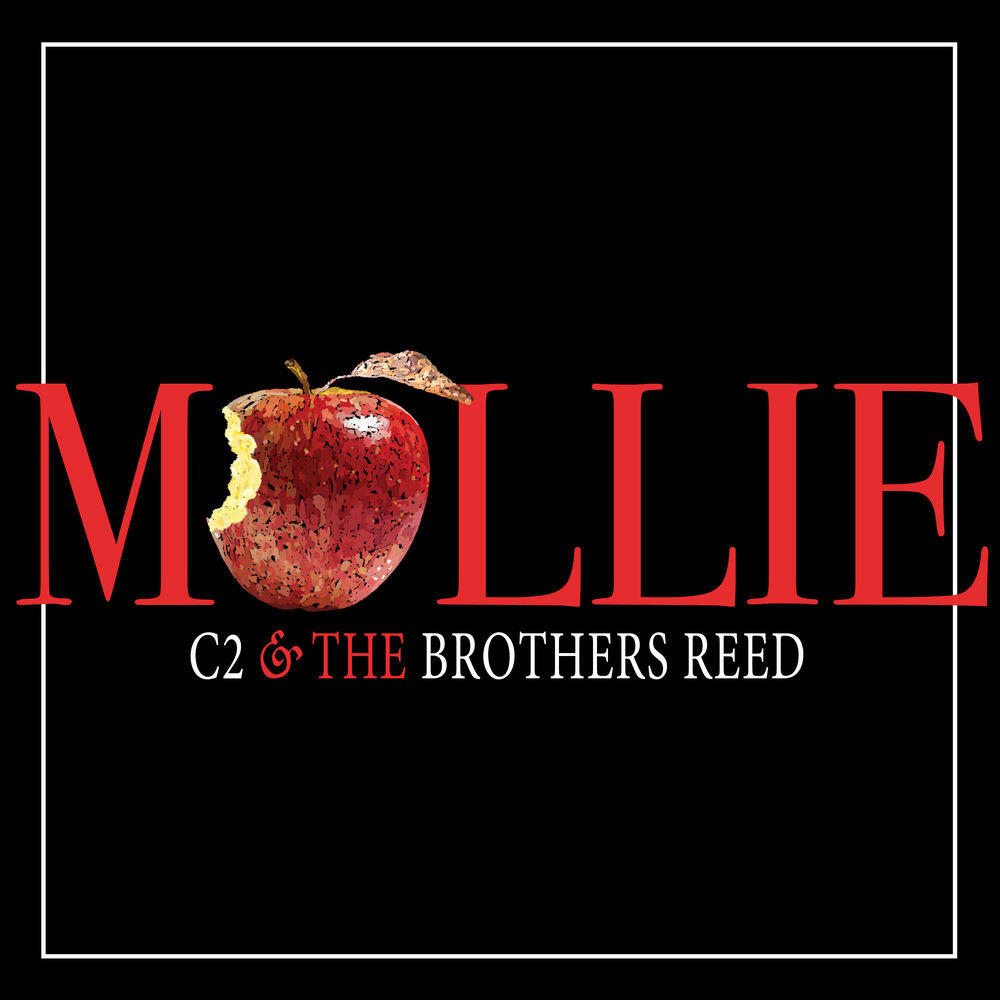 Релиз Mollie