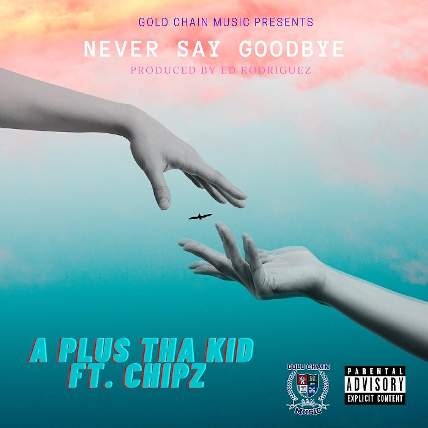 Релиз Never Say Goodbye