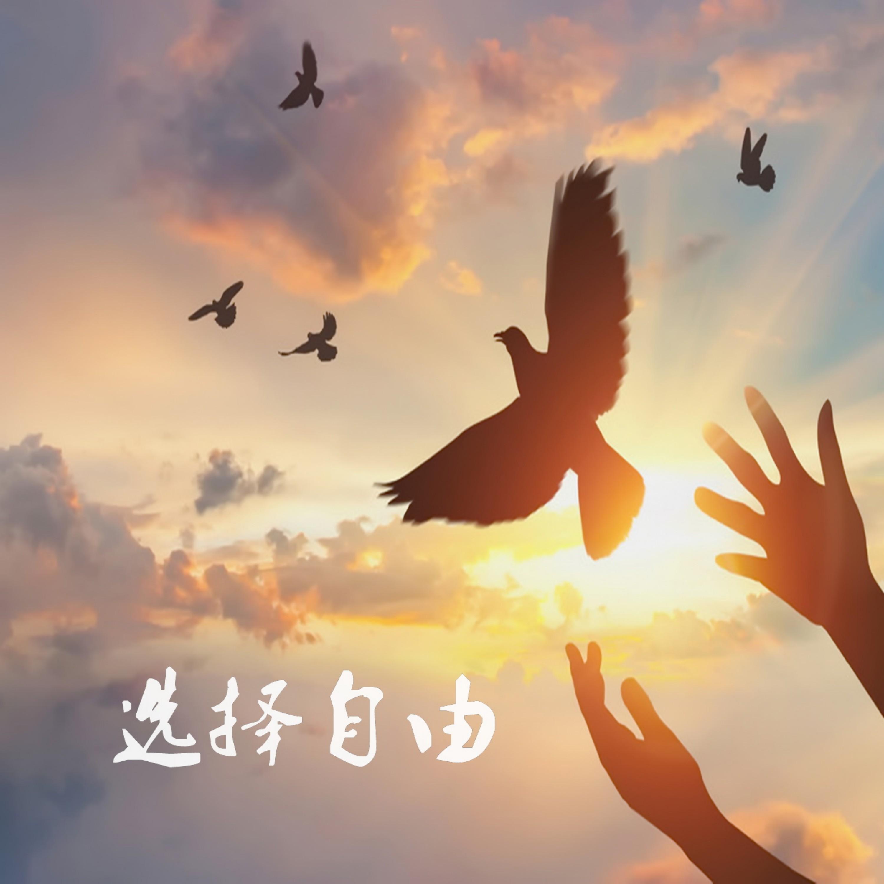 顾峰
