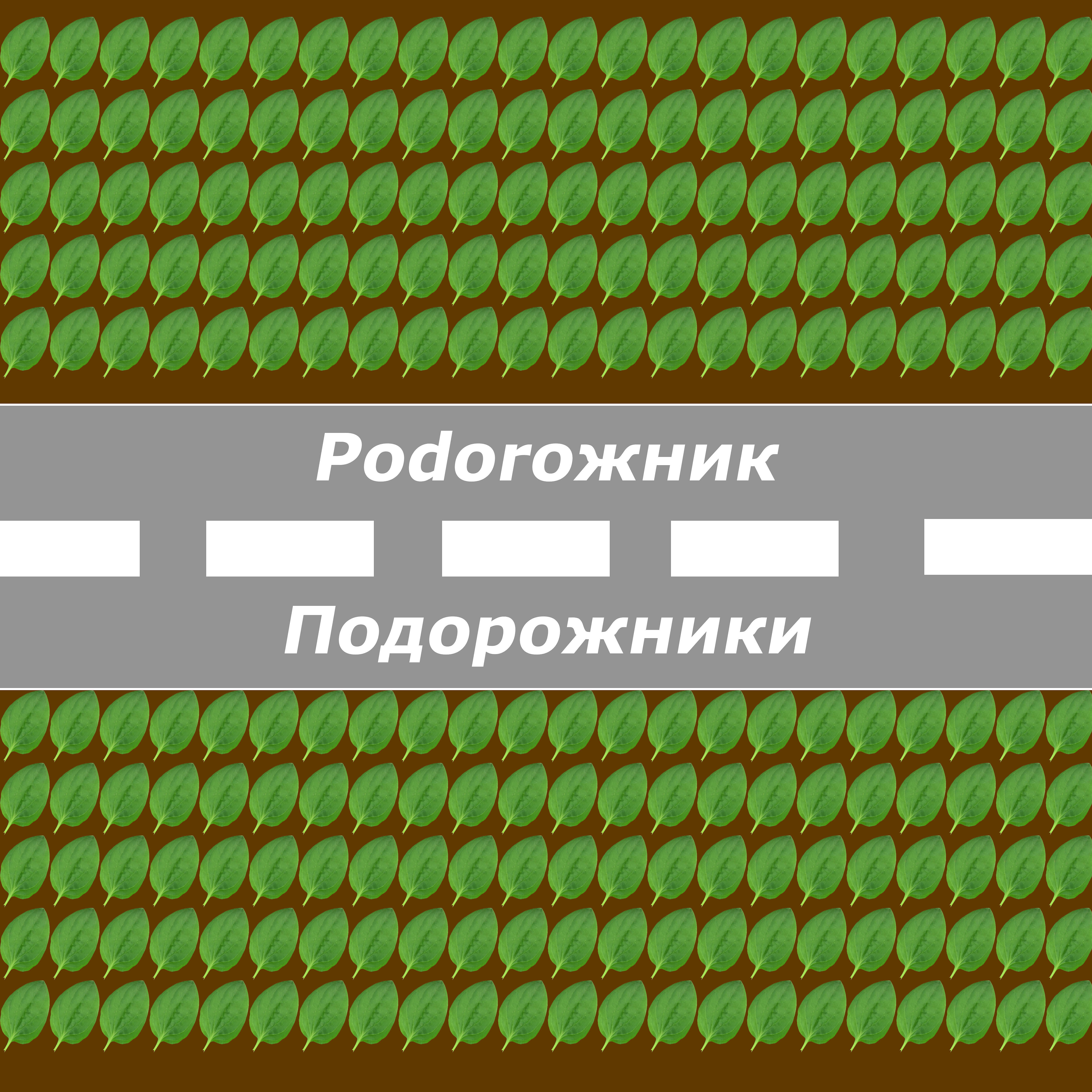 Релиз Подорожники