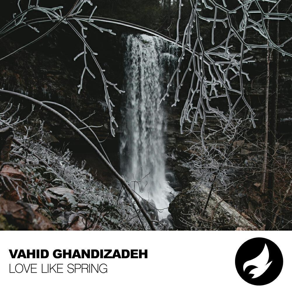 Vahid Ghandizadeh