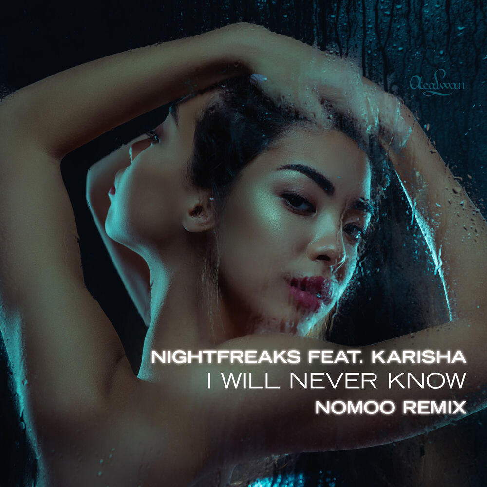 Релиз I Will Never Know (Nomoo Remix)