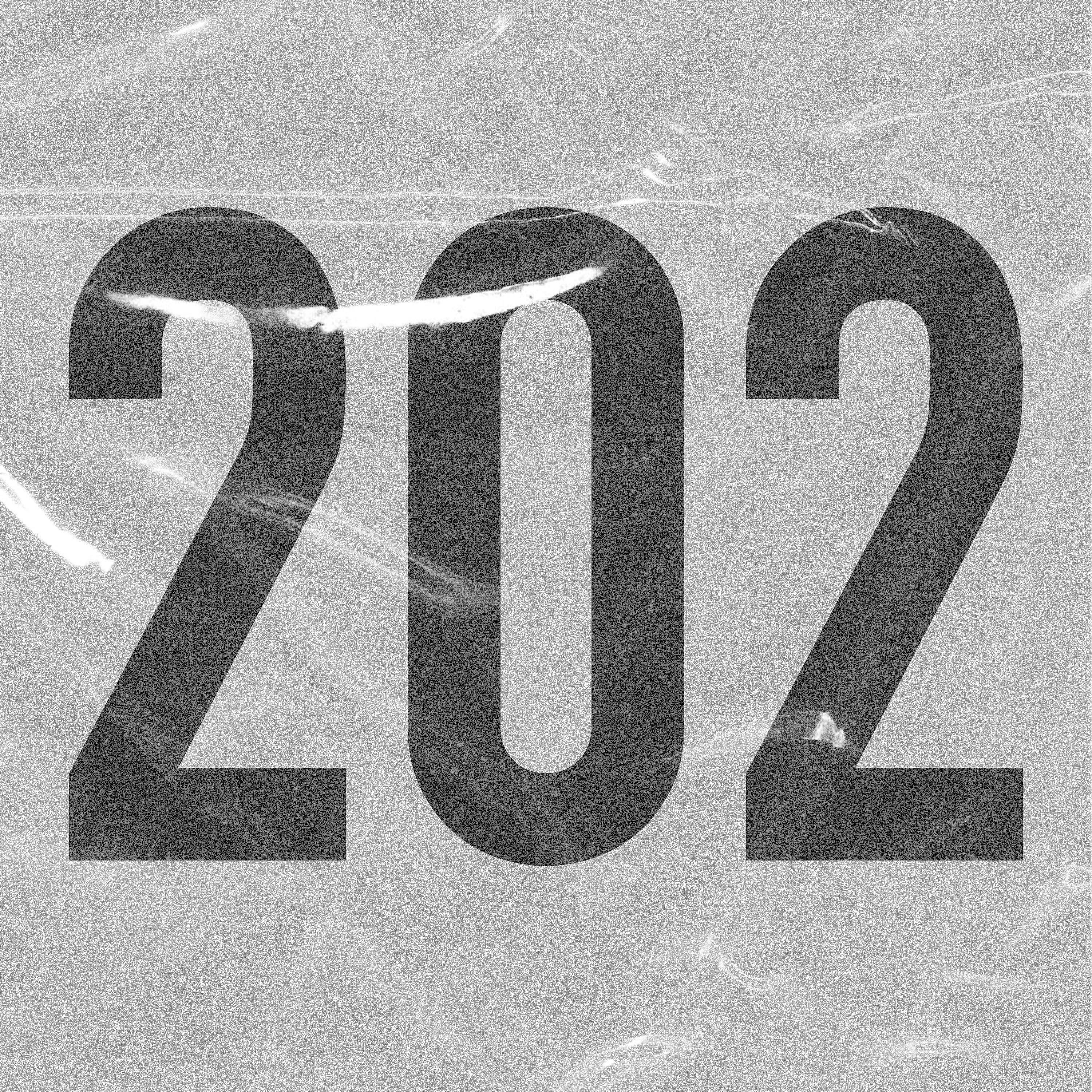 Релиз 202