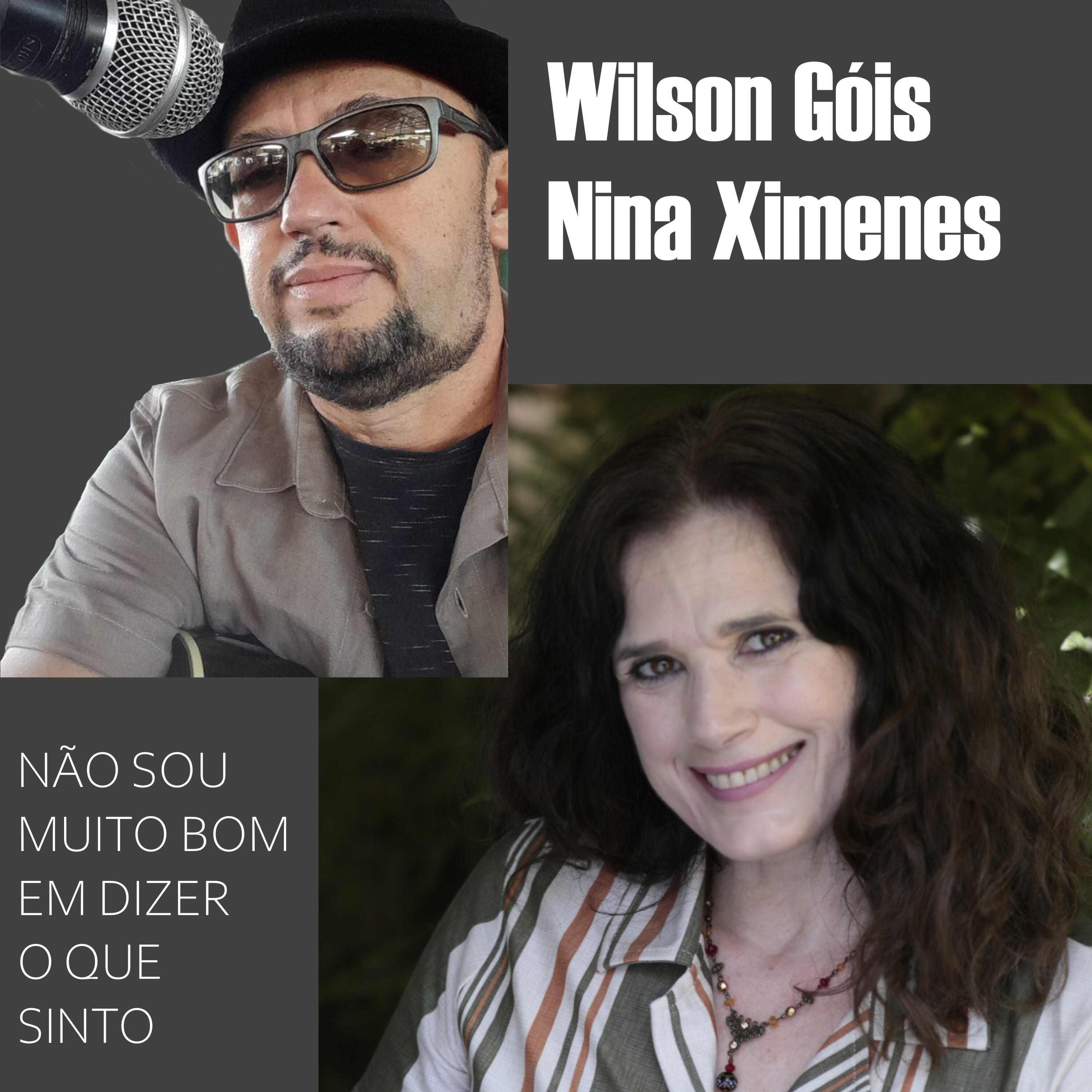 Релиз Não Sou Muito Bom em Dizer o Que Sinto