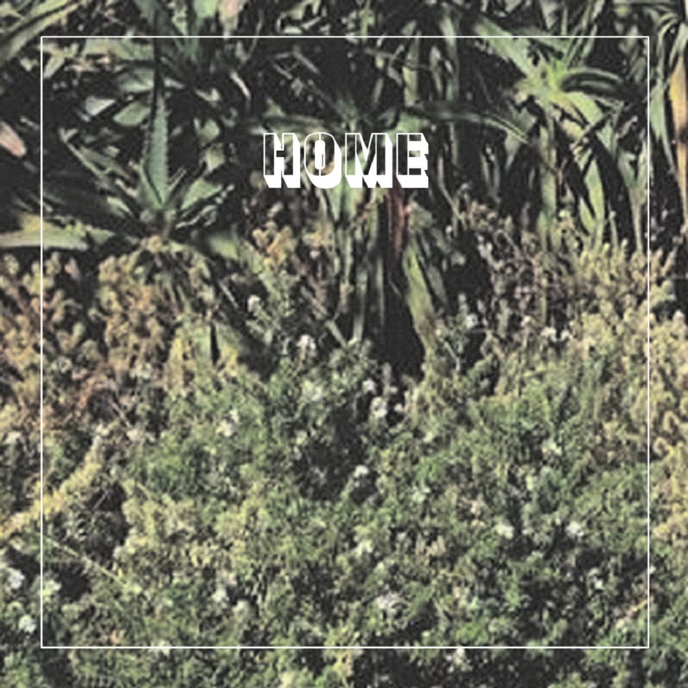 Релиз Home