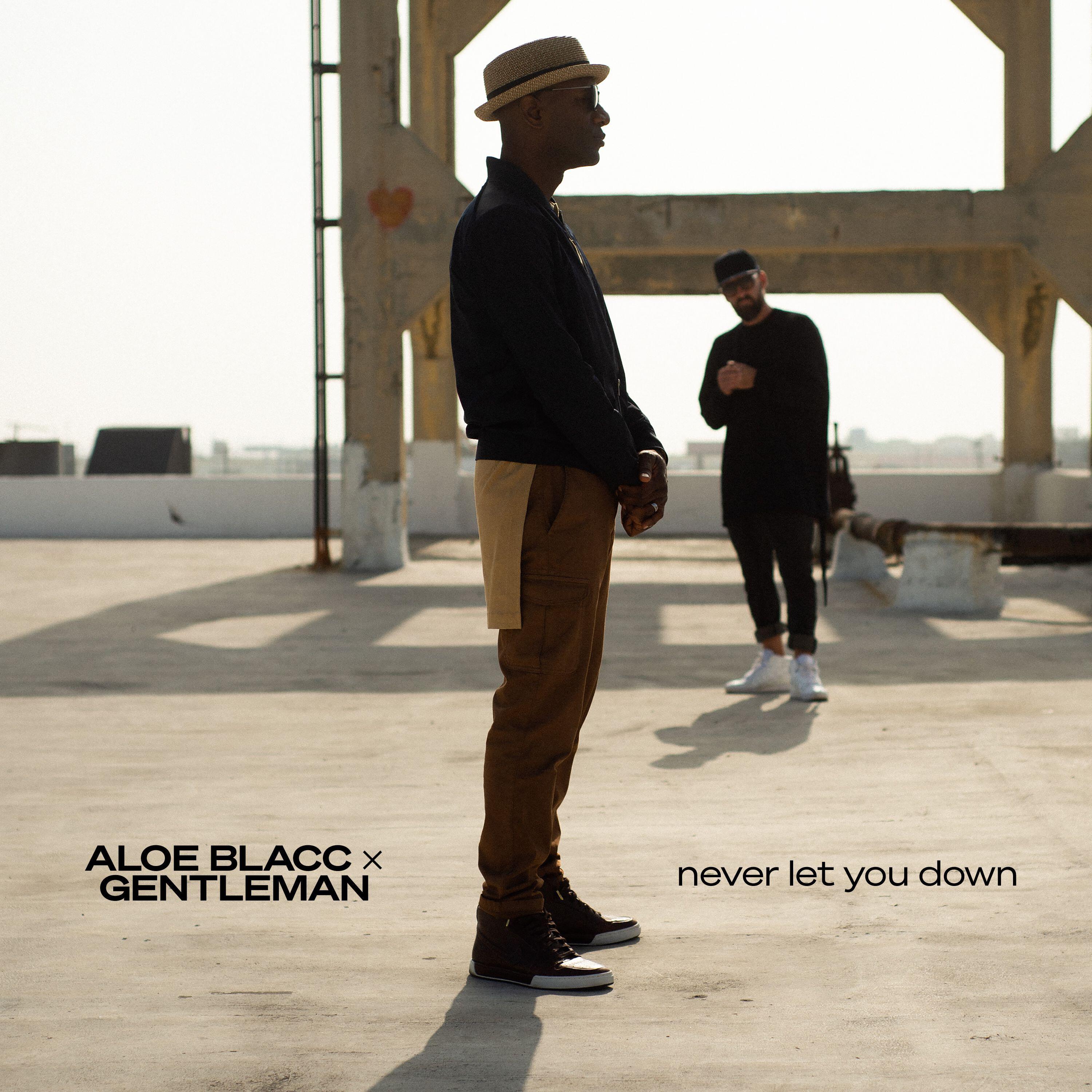 Релиз Never Let You Down (Remix)