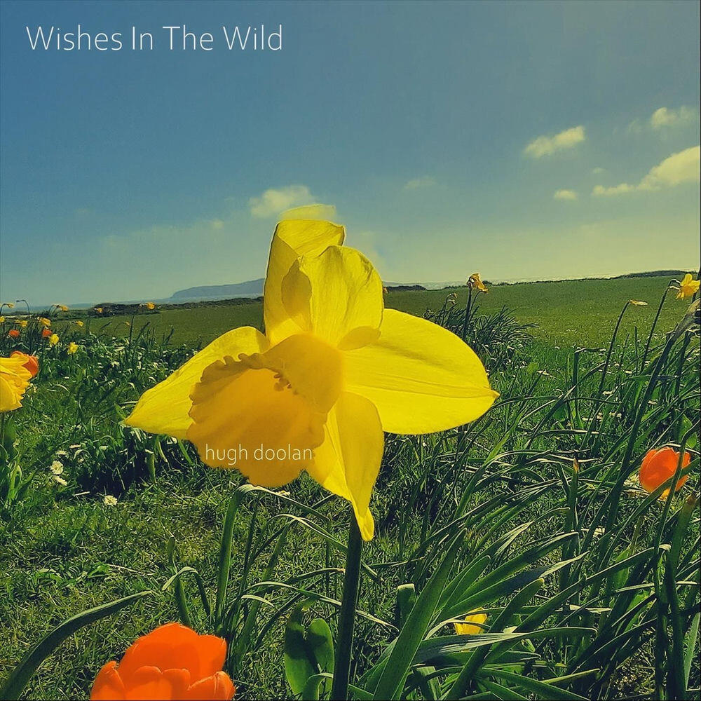 Релиз Wishes in the Wild