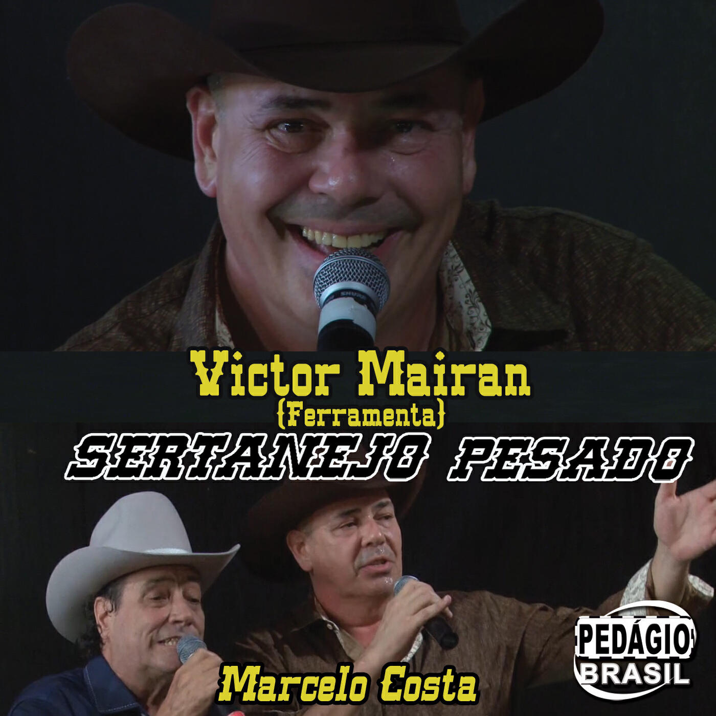 Релиз Sertanejo Pesado