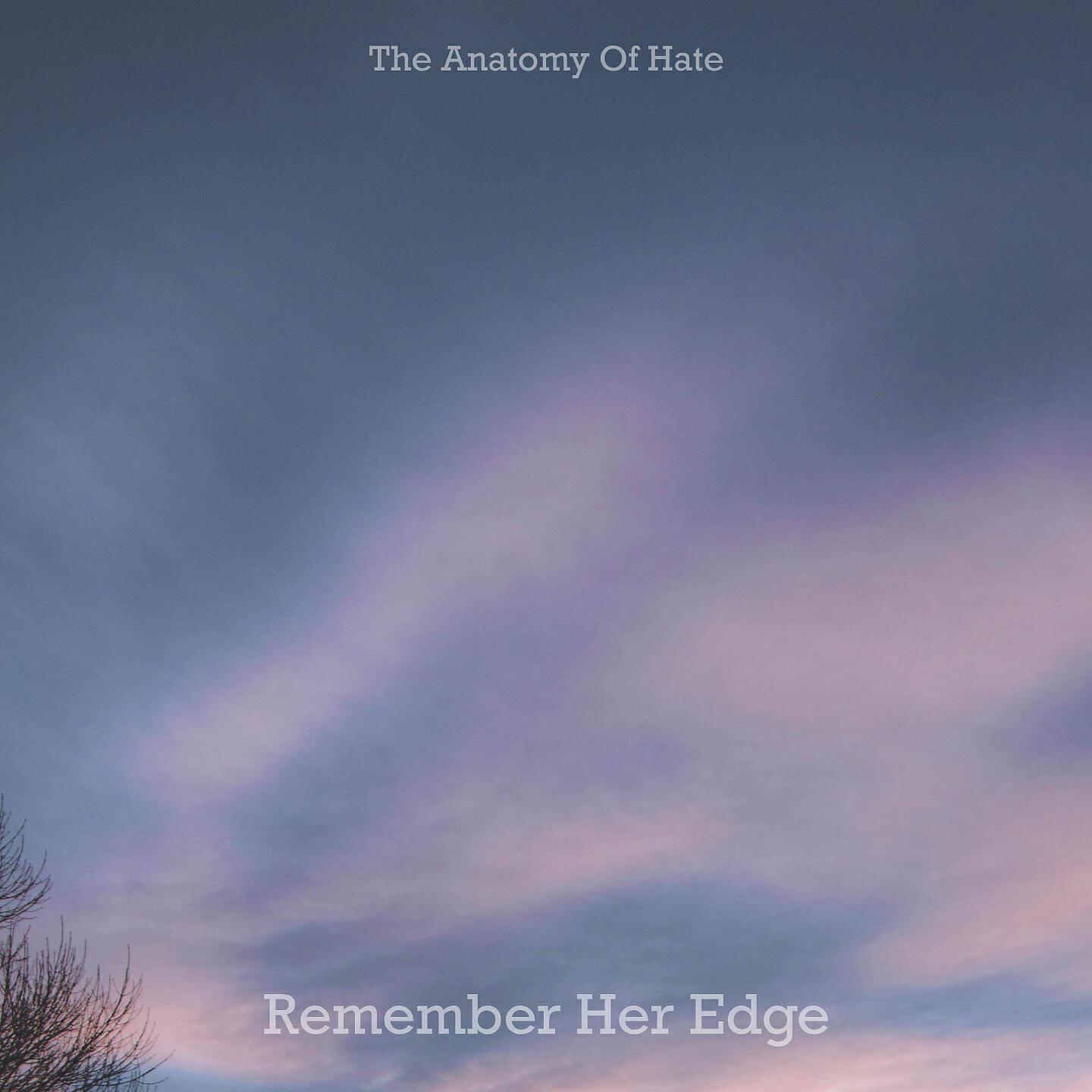 The Anatomy Of Hate